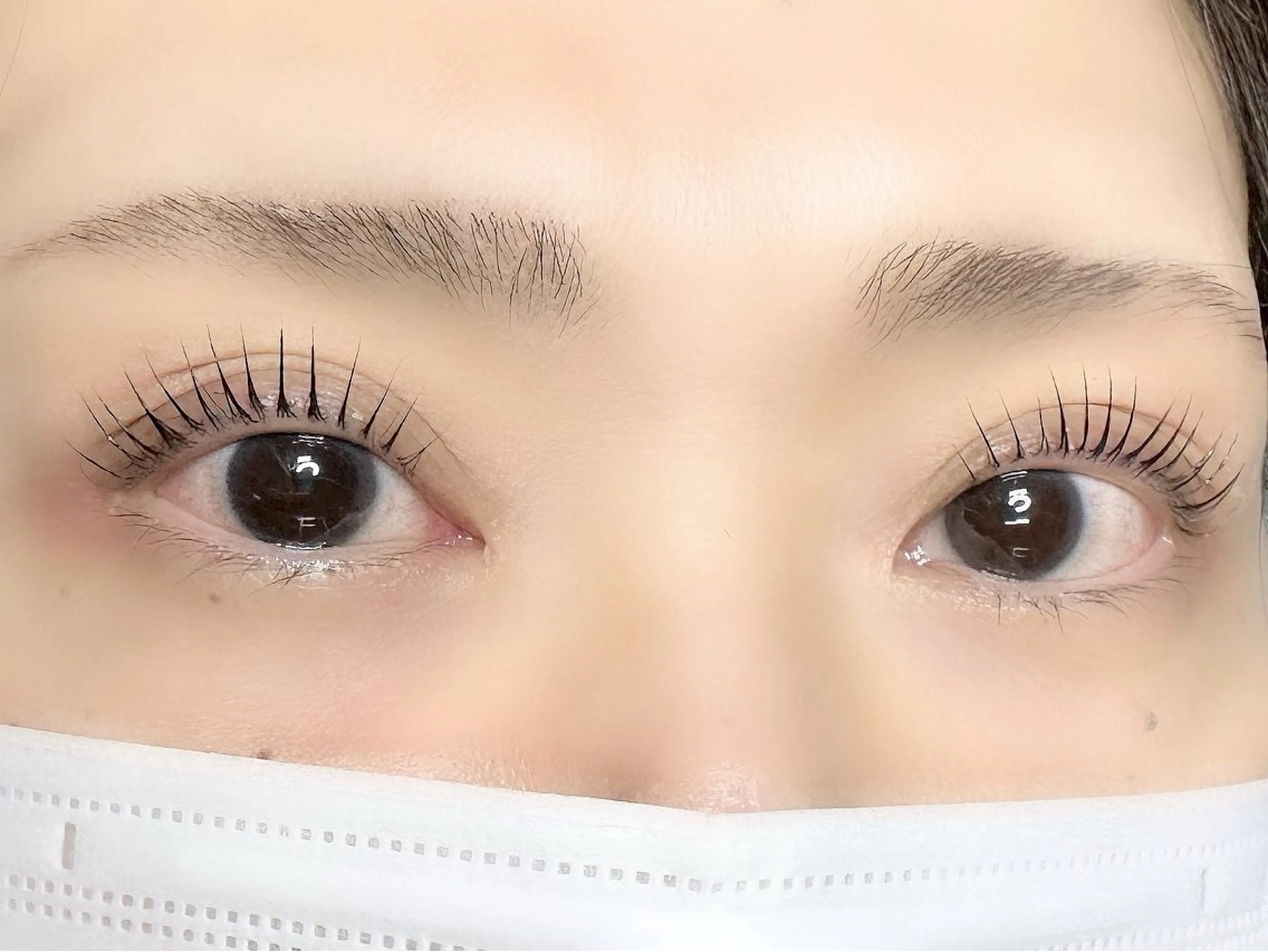 💚新規💚パリジェンヌラッシュリフト⭐️ラッシュリンク2ステップトリートメント付き❣️の写真