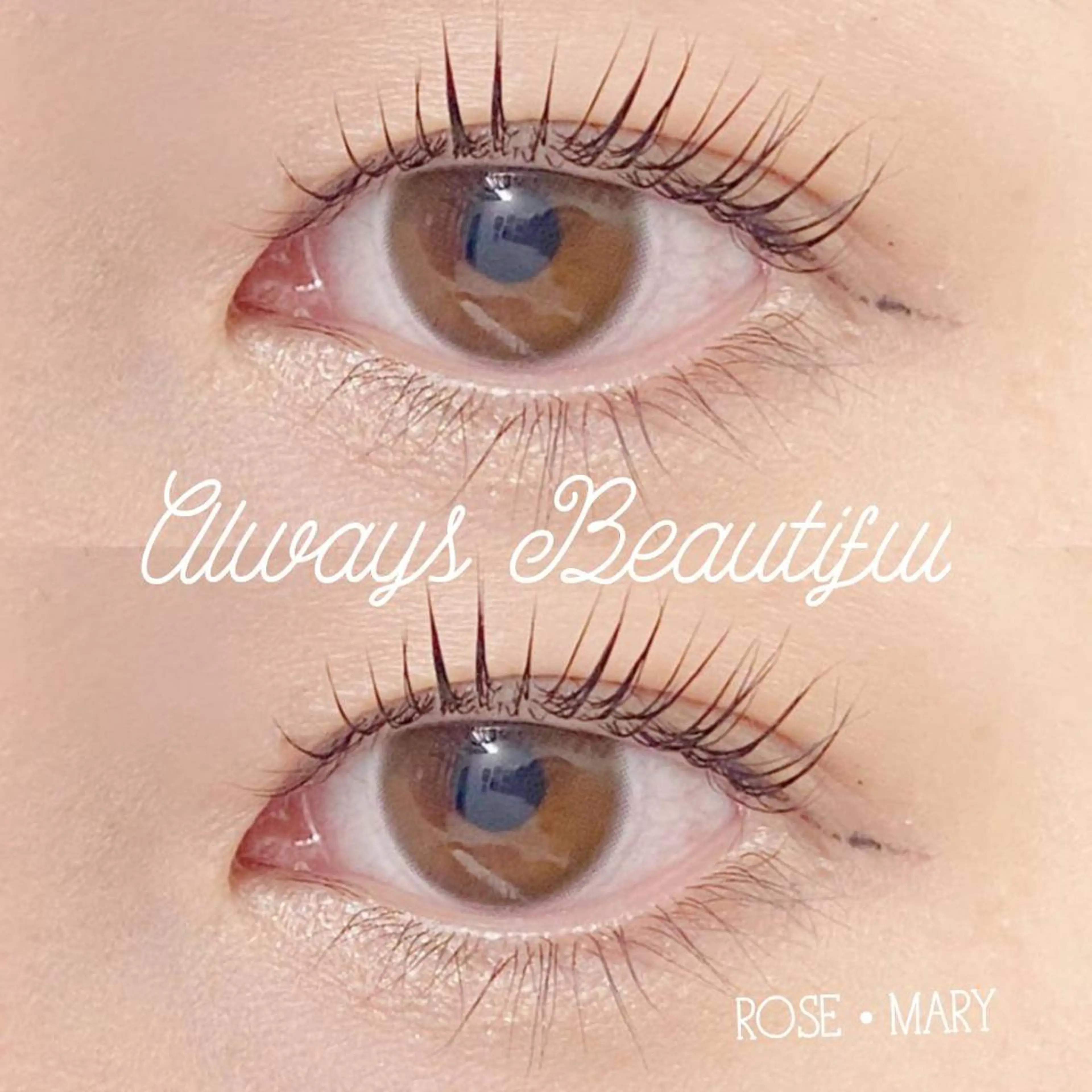 マツエク・マツパ マツパ ROSE MARY 大竹のマツエク・マツパデザイン