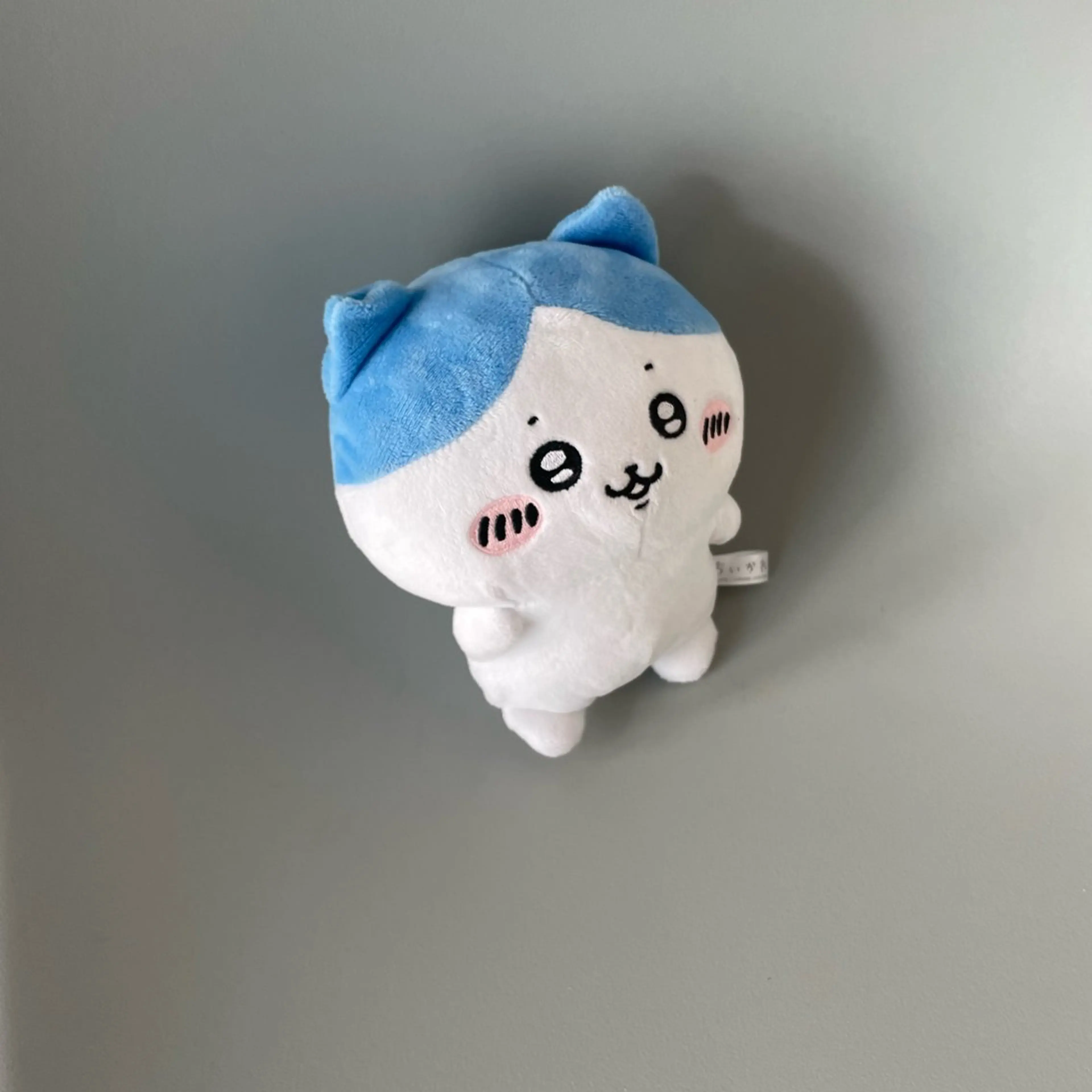 当店ハンドオフのみの写真