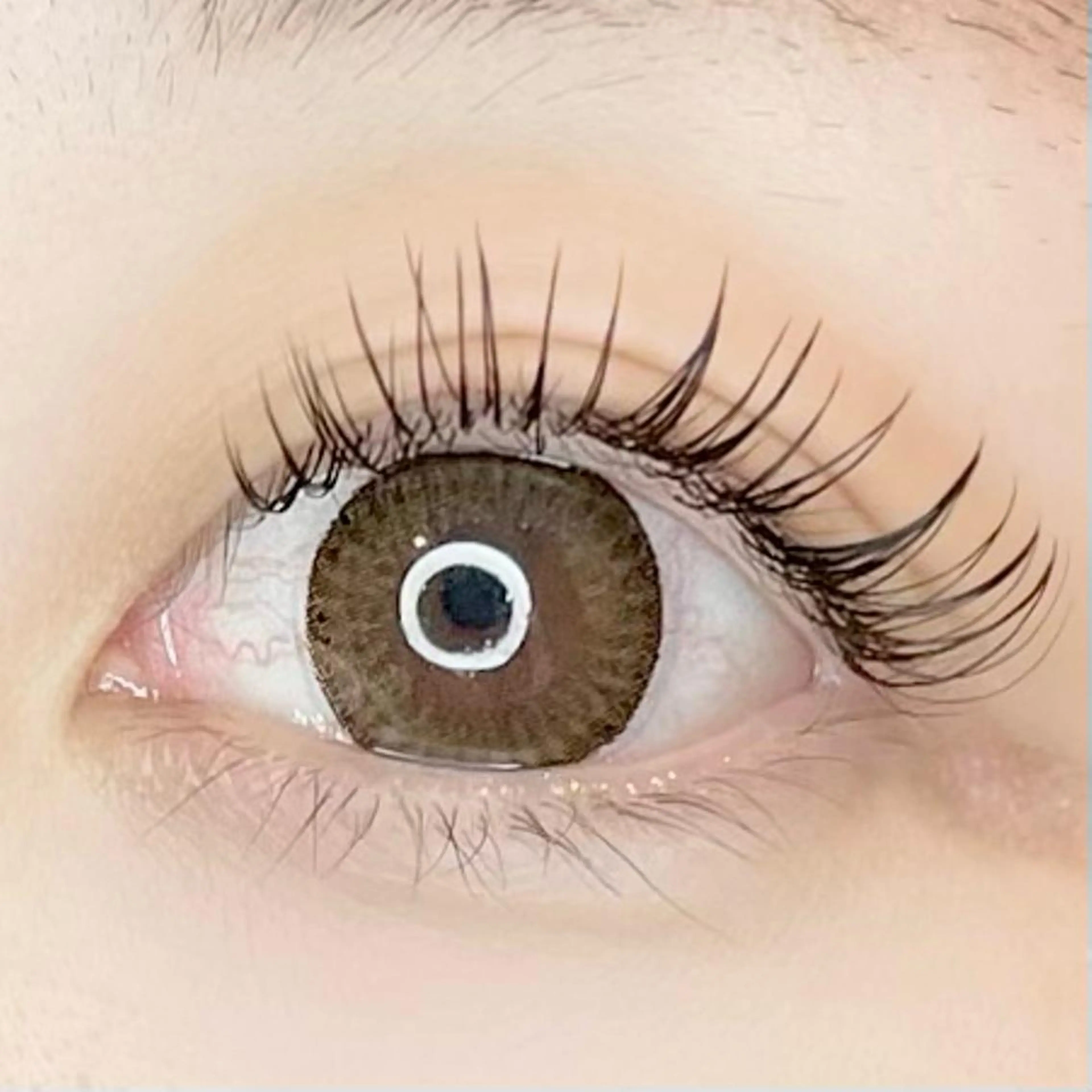 《　限定価格　》オフ・コーティング付き𓅪˒˒ 90分付け放題（最大160本）　フラットラッシュ、セーブルあり♡の写真