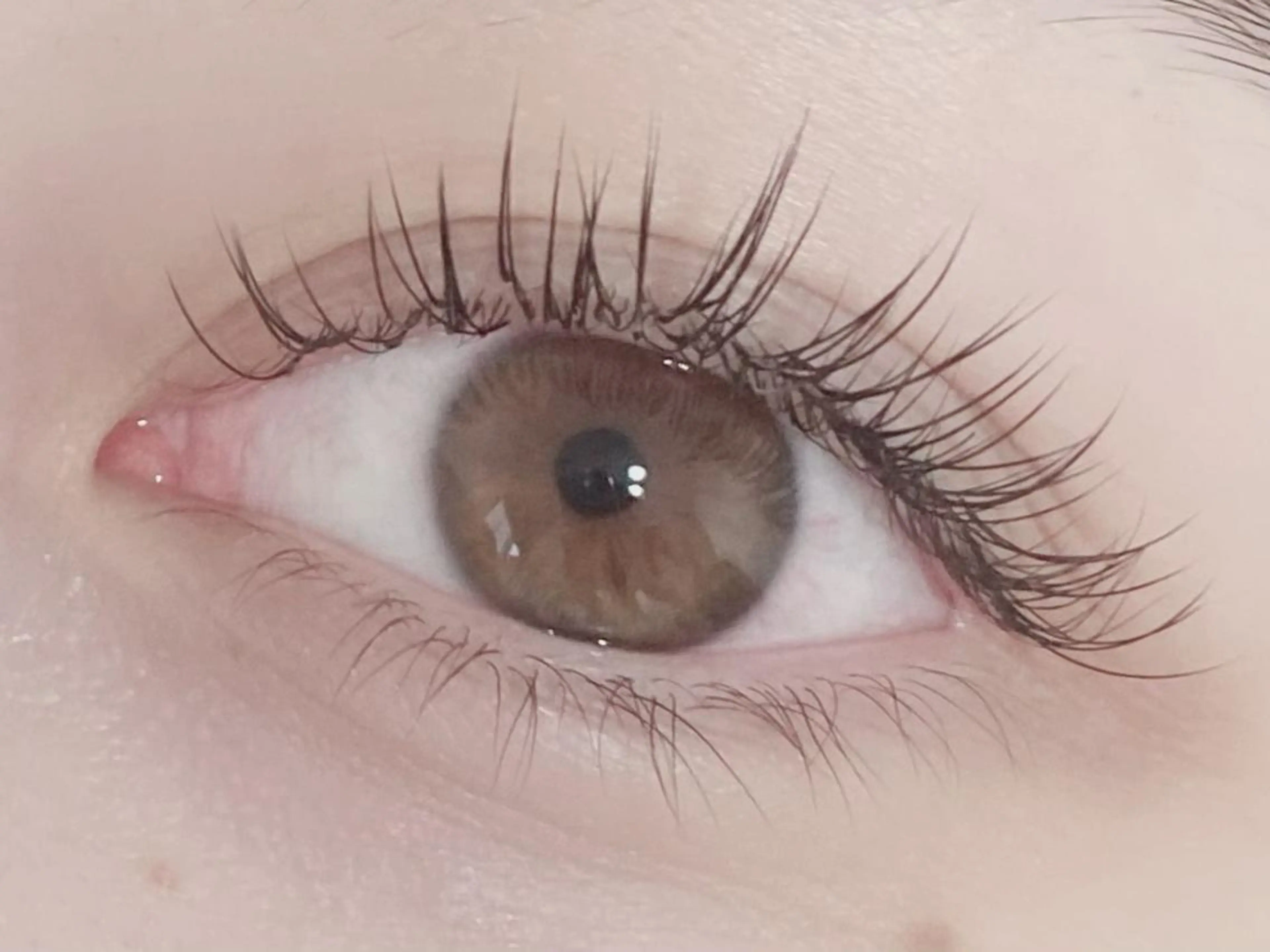 マツエク・マツパ 束感まつげ/マツエク 💎渋谷　rieのマツエク・マツパデザイン