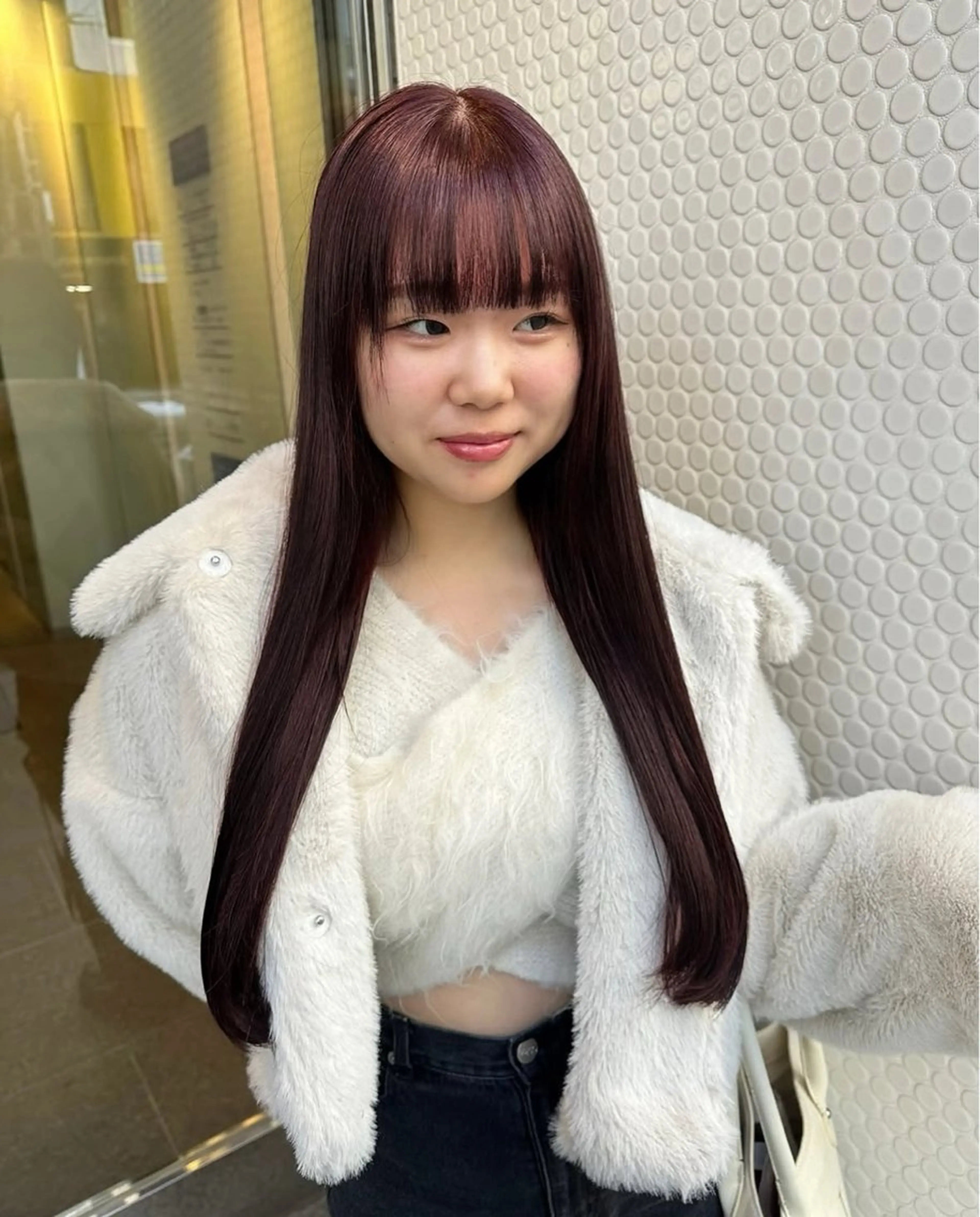 ワンカラーの写真