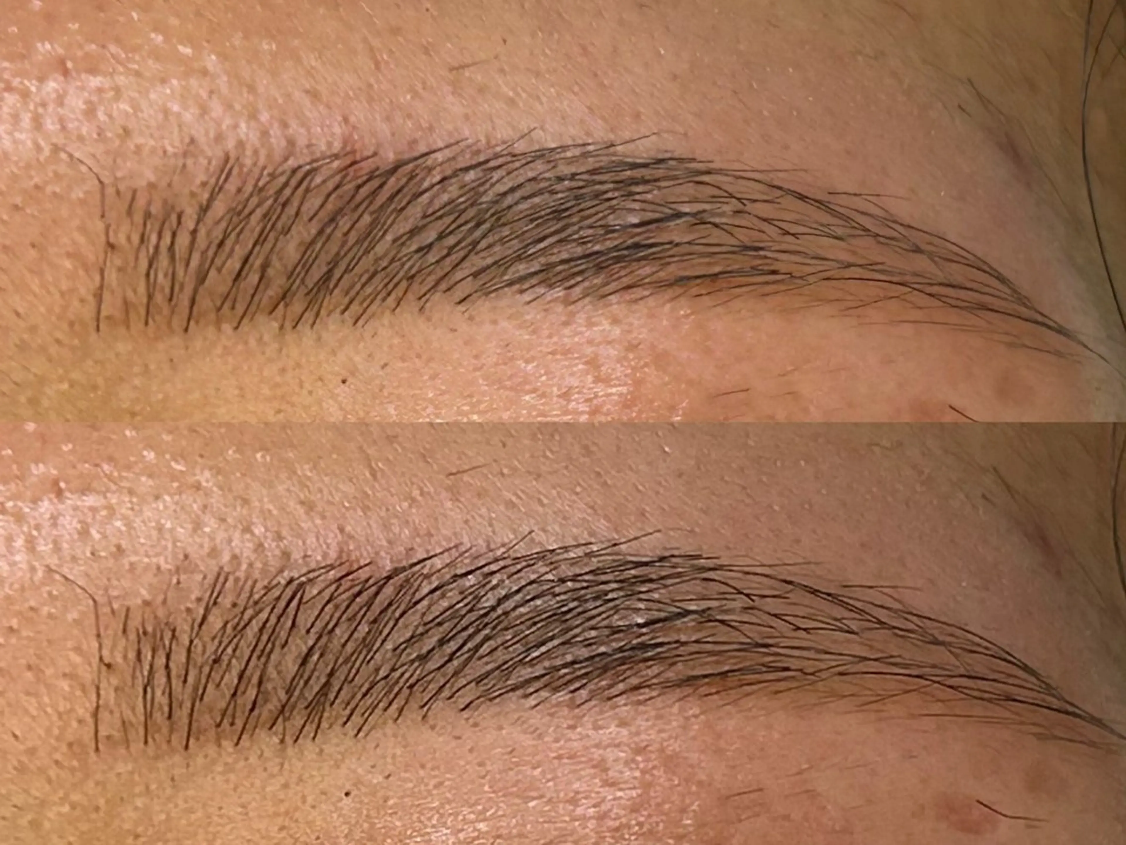 アイブロウ ワックス脱毛 ꪆৎ平行アーチ ྀི ワカナの眉毛・アイブロウイメージ