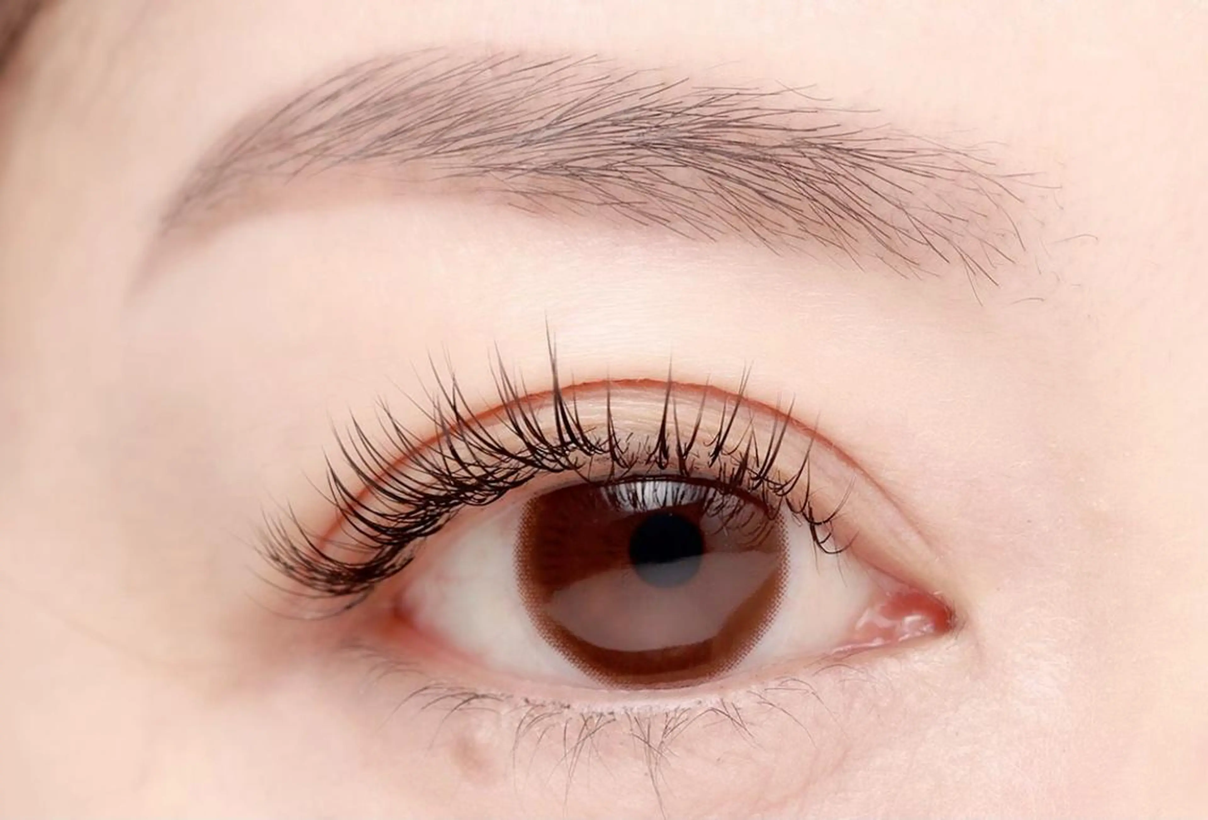 9月4日(木)9時30分限定🌱エクステ120本まで☺️✨✨の写真