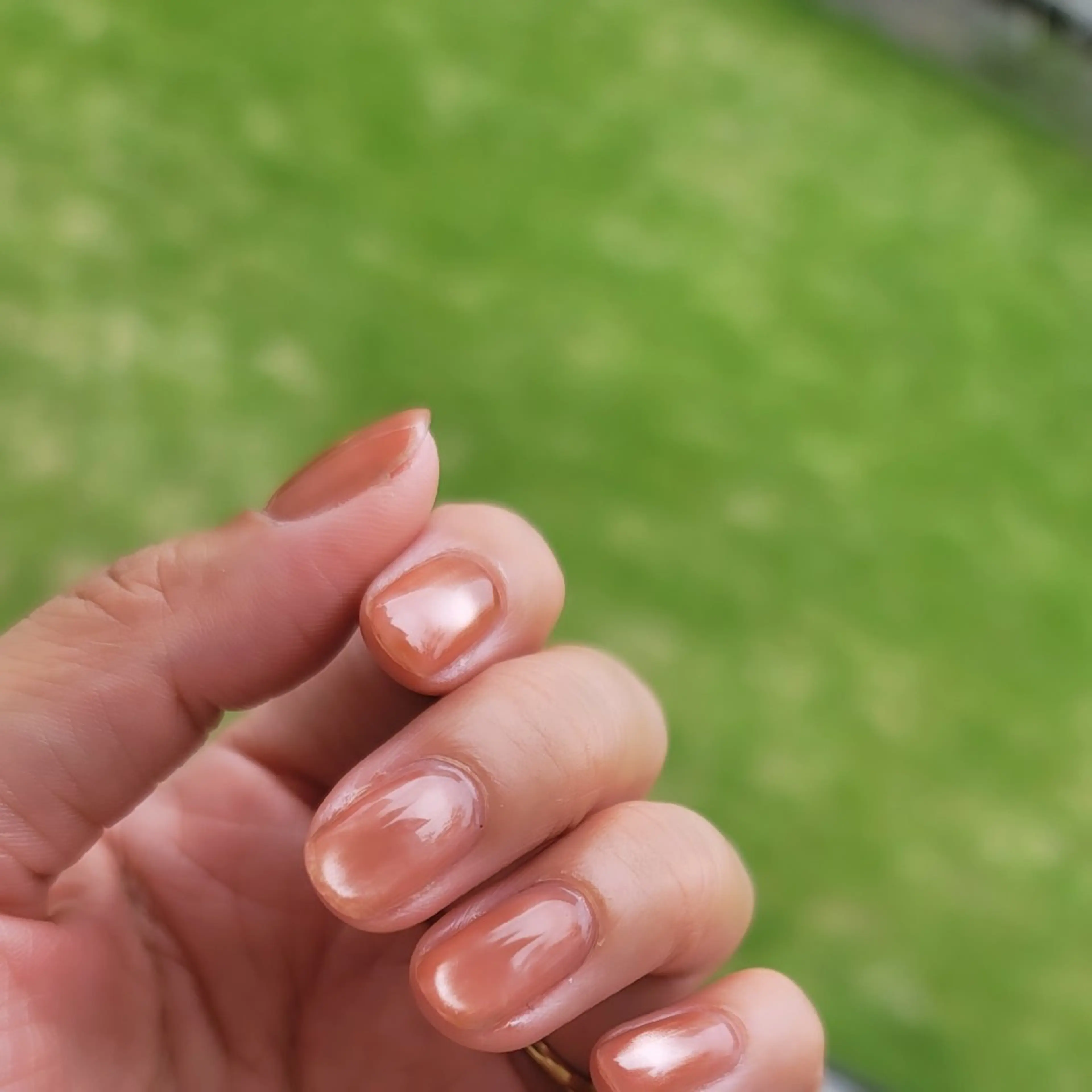 ネイル マグネットネイル マグネットワンカラー ワンカラーネイル 🌲🌳🚪iiit o🌲🌳🌲のネイルデザイン