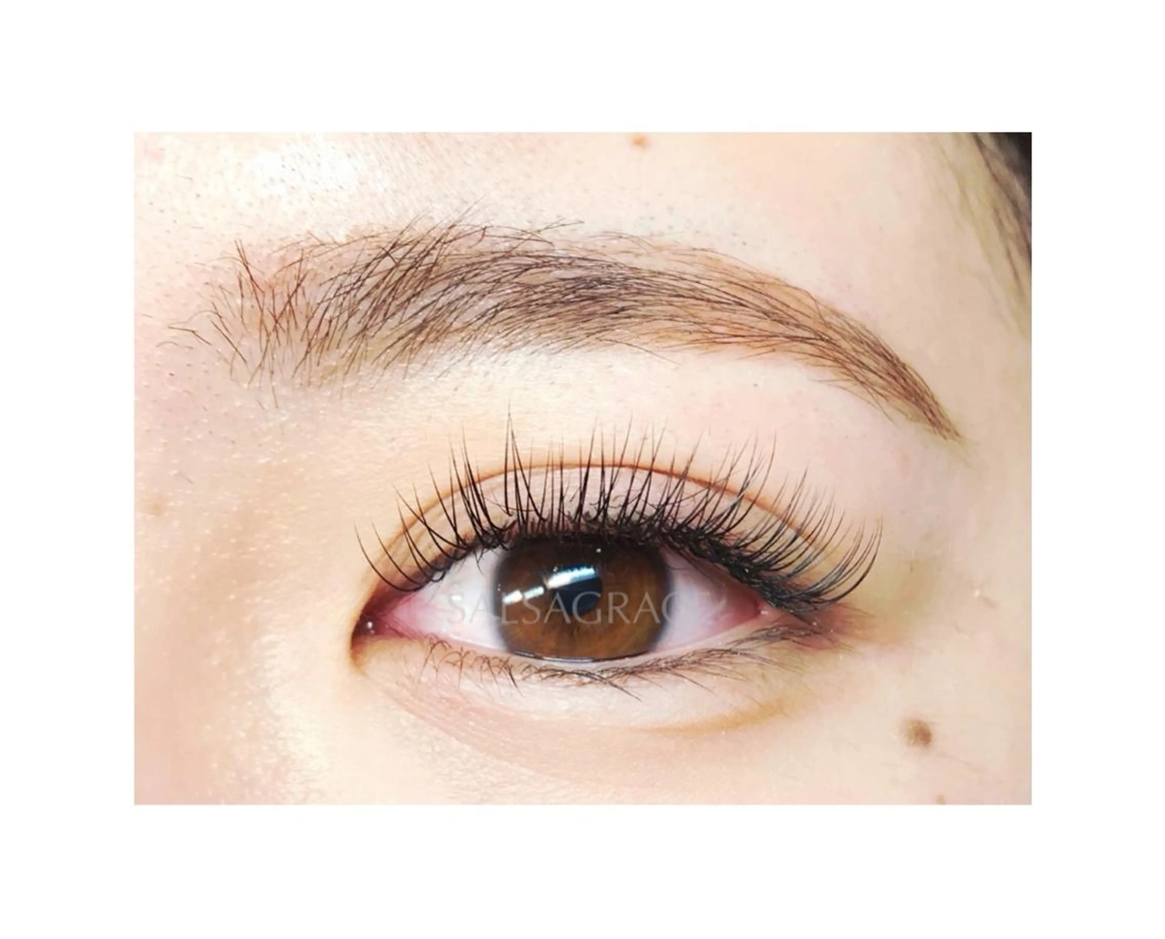 《平日限定》120本オフ込みの写真