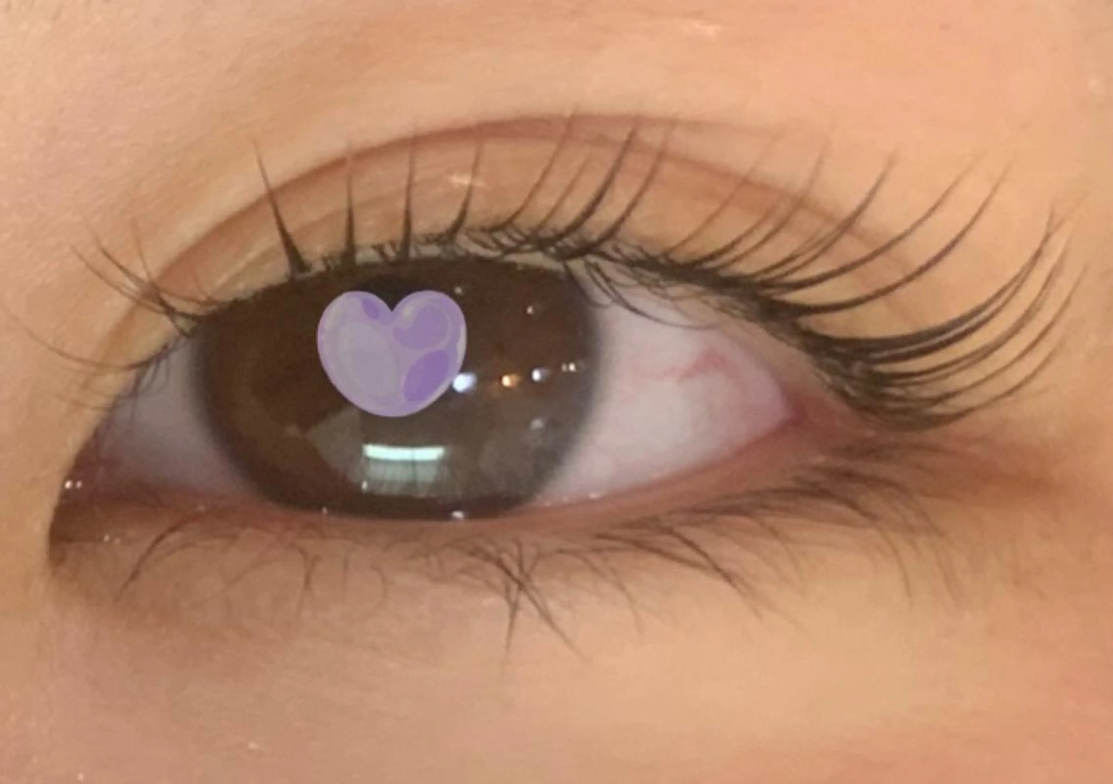 マツエク・マツパ アイブロウ ハリウッドブロウリフト フラットラッシュ 🌷 ENOMOTO🌷のマツエク・マツパデザイン