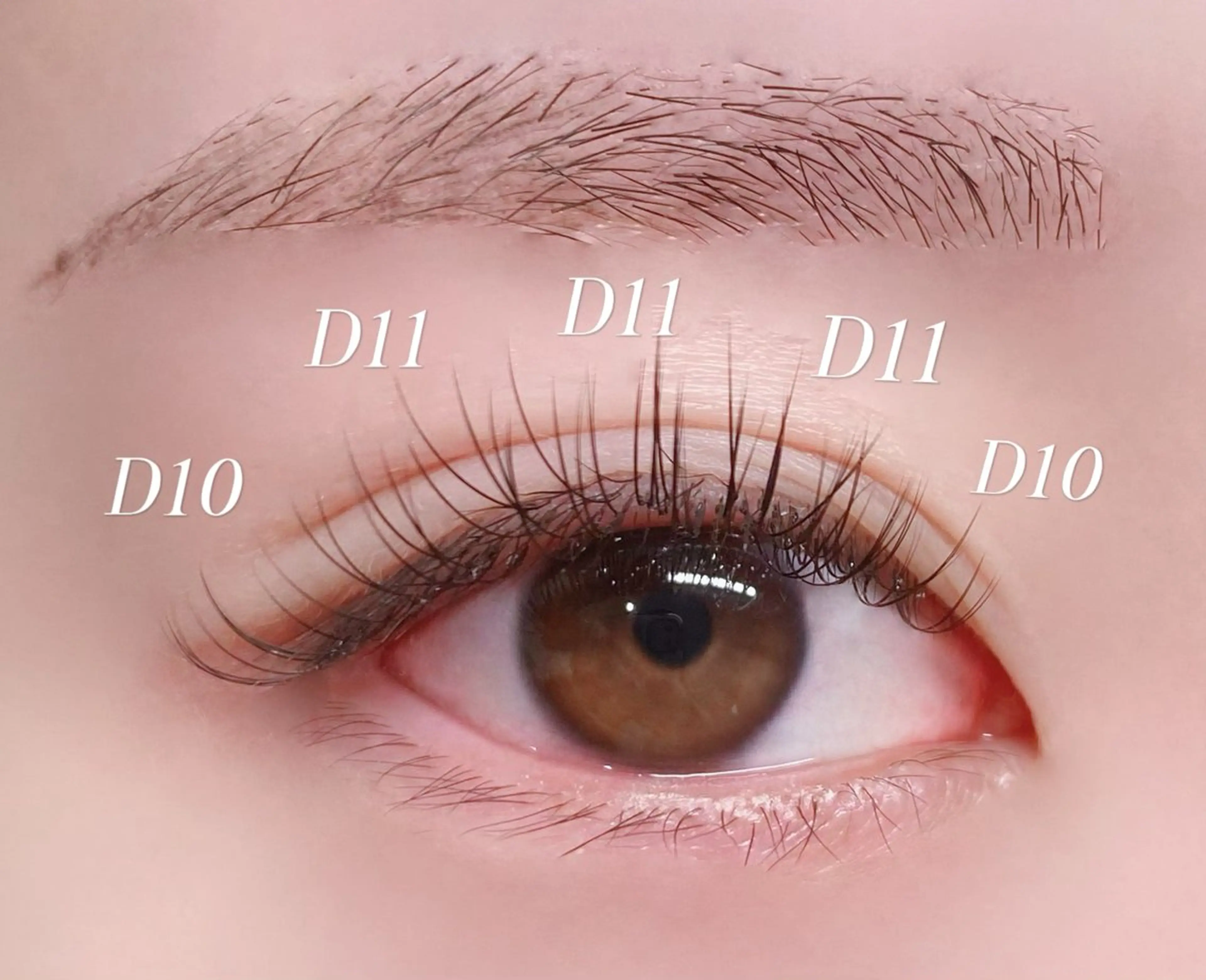 マツエク・マツパ Rairia nail&eyelash所属・Rairia CHIKAのマツエク・マツパデザイン