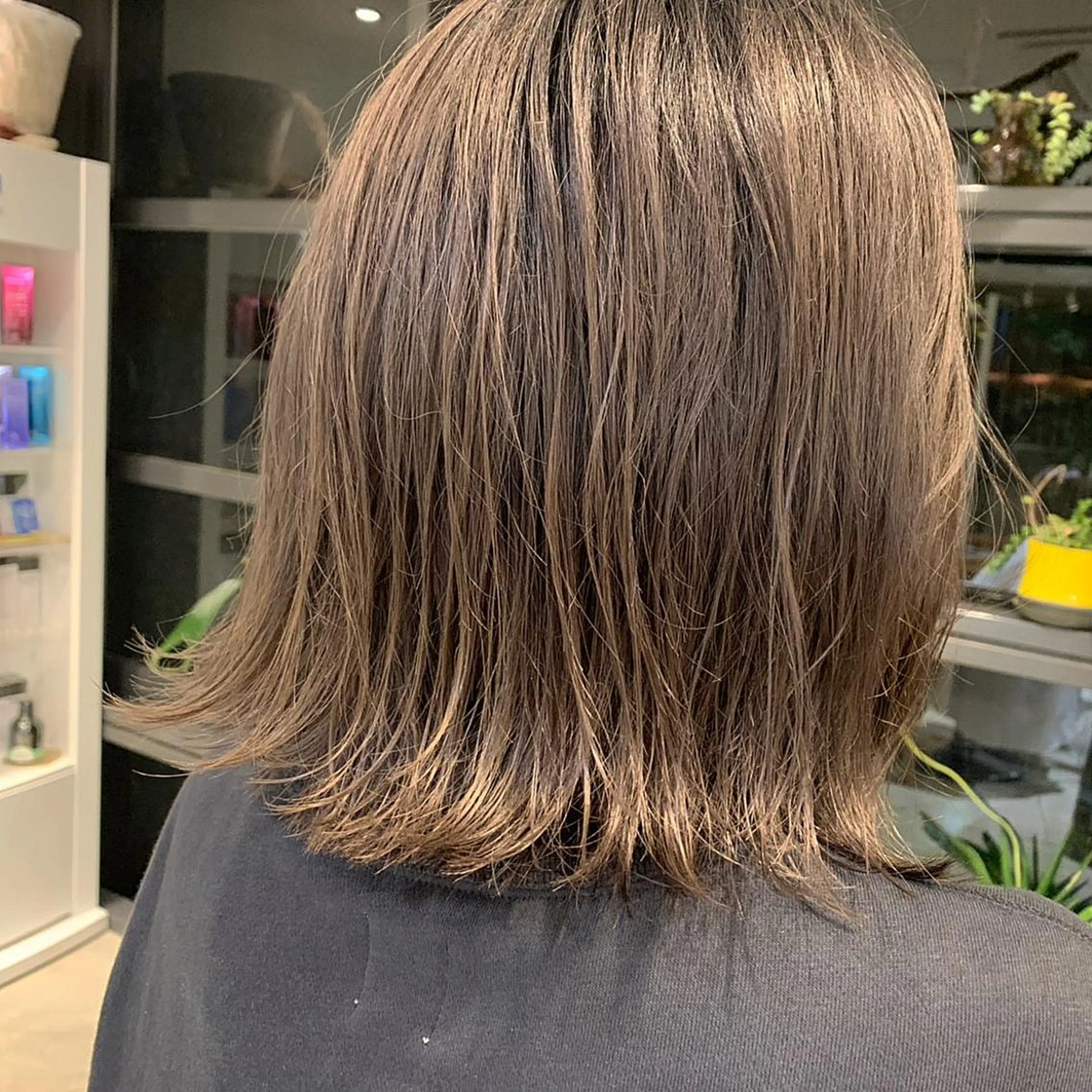 ショート カラー グレージュ 菅原 彩加のヘアスタイル