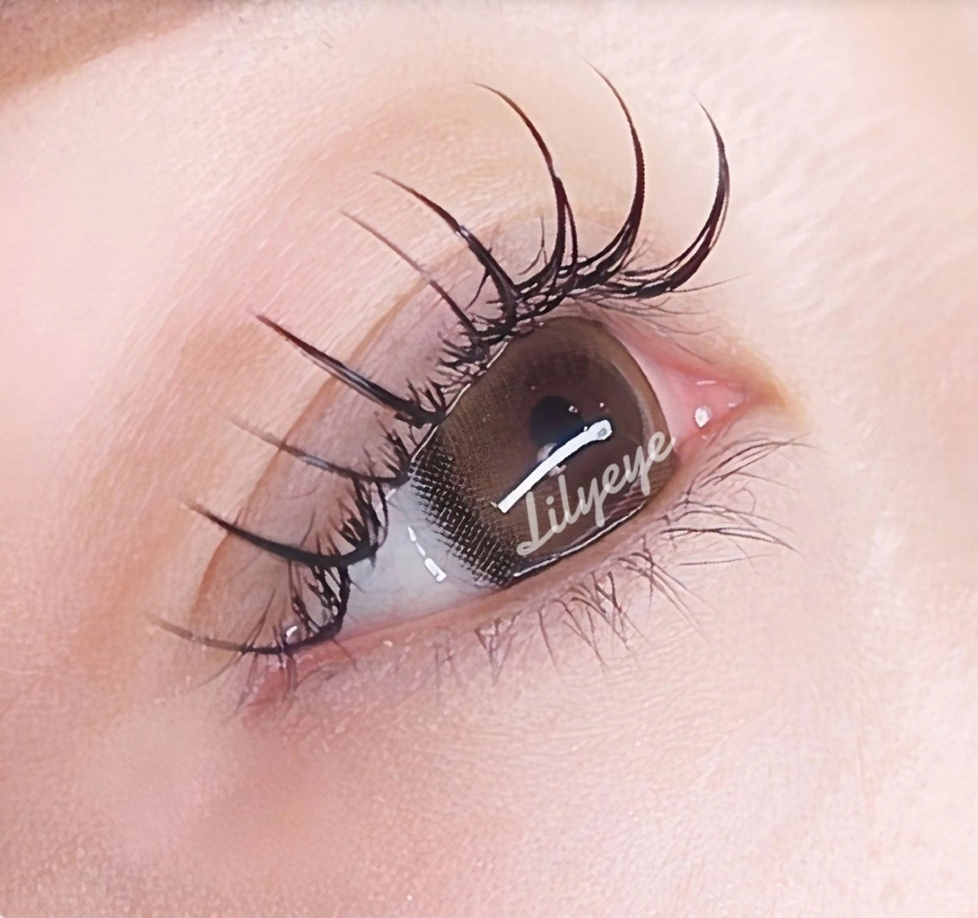 マツエク・マツパ フラットラッシュ まつげ屋さんリリィアイ所属・まつげ屋さん リリィアイのマツエク・マツパデザイン