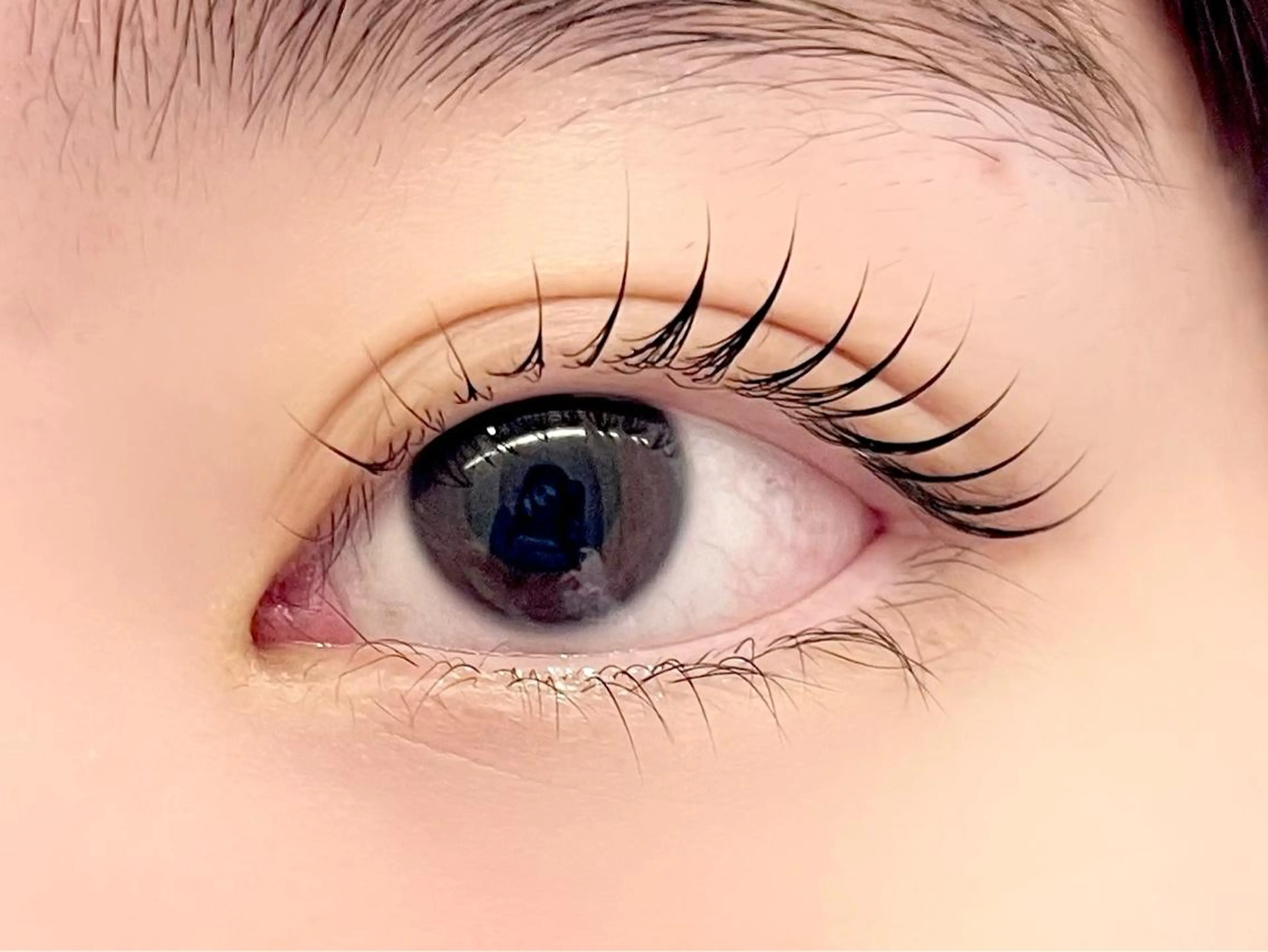 マツエク・マツパ 束感まつ毛 sola: neolive熊田のマツエク・マツパデザイン