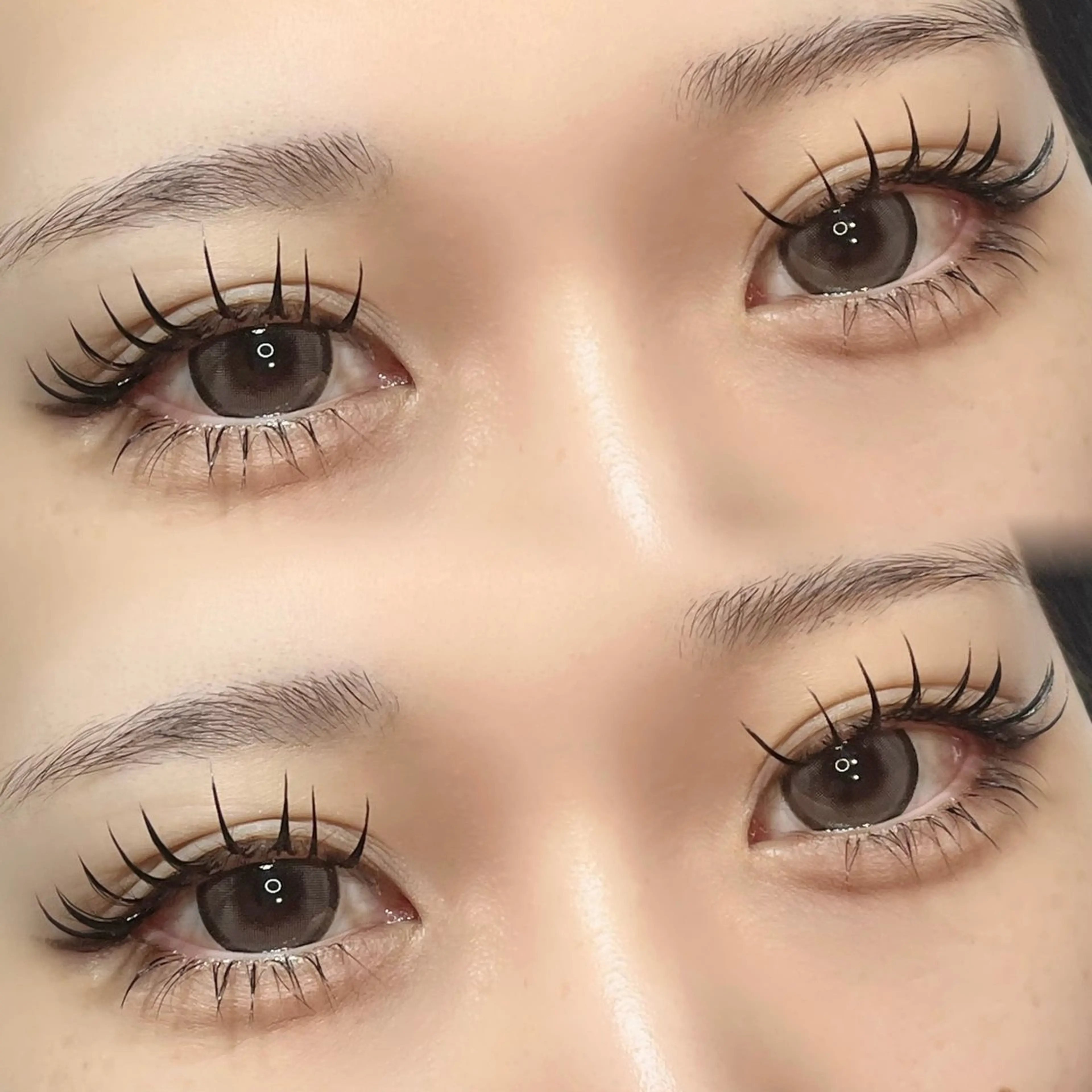 【💎新規💎】バインドロック/ダブルフラット60束の写真