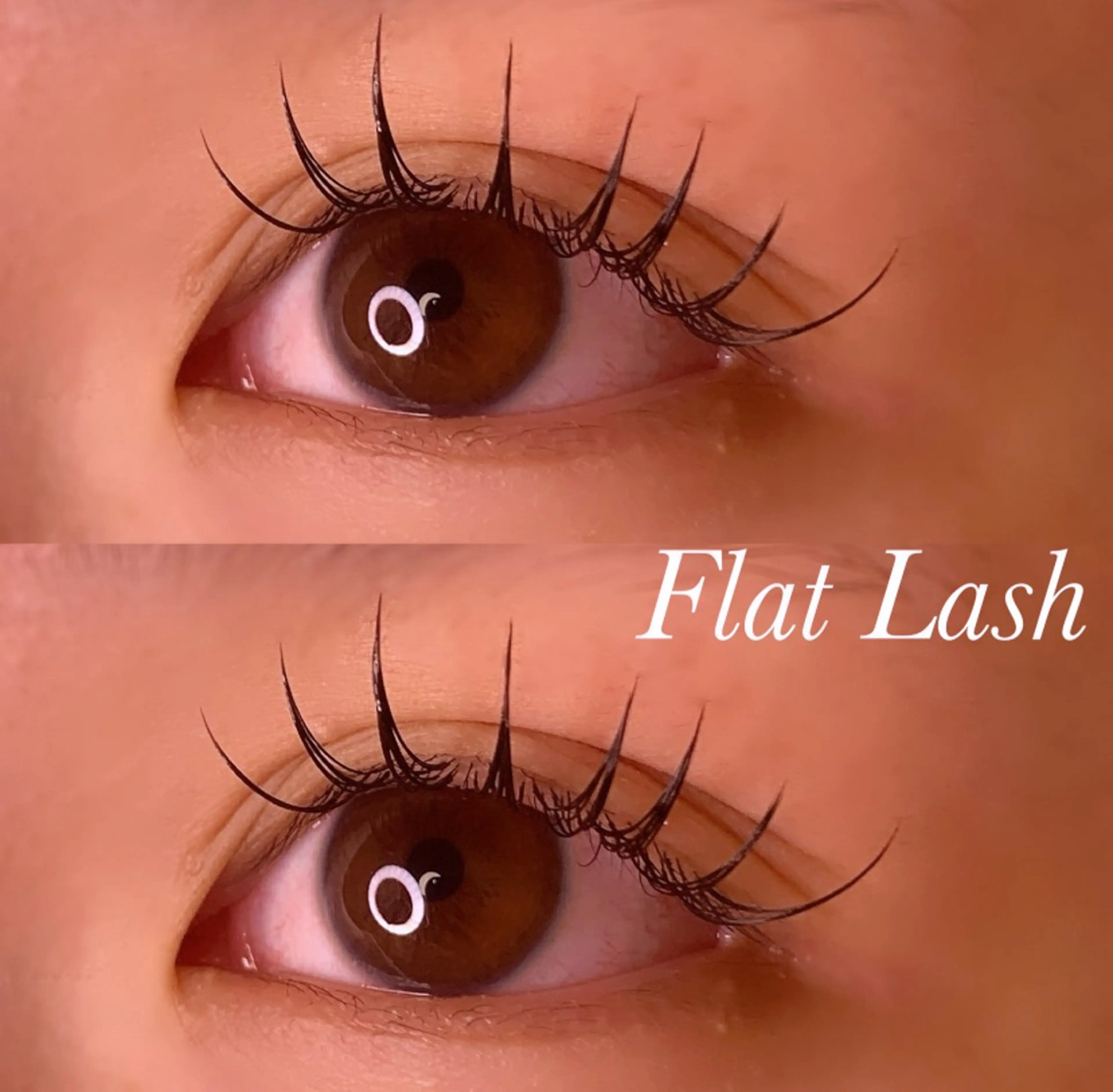 マツエク・マツパ CCカール Cカール フラットラッシュ マツエク Ayumi.pro 🍆N《4階》のマツエク・マツパデザイン