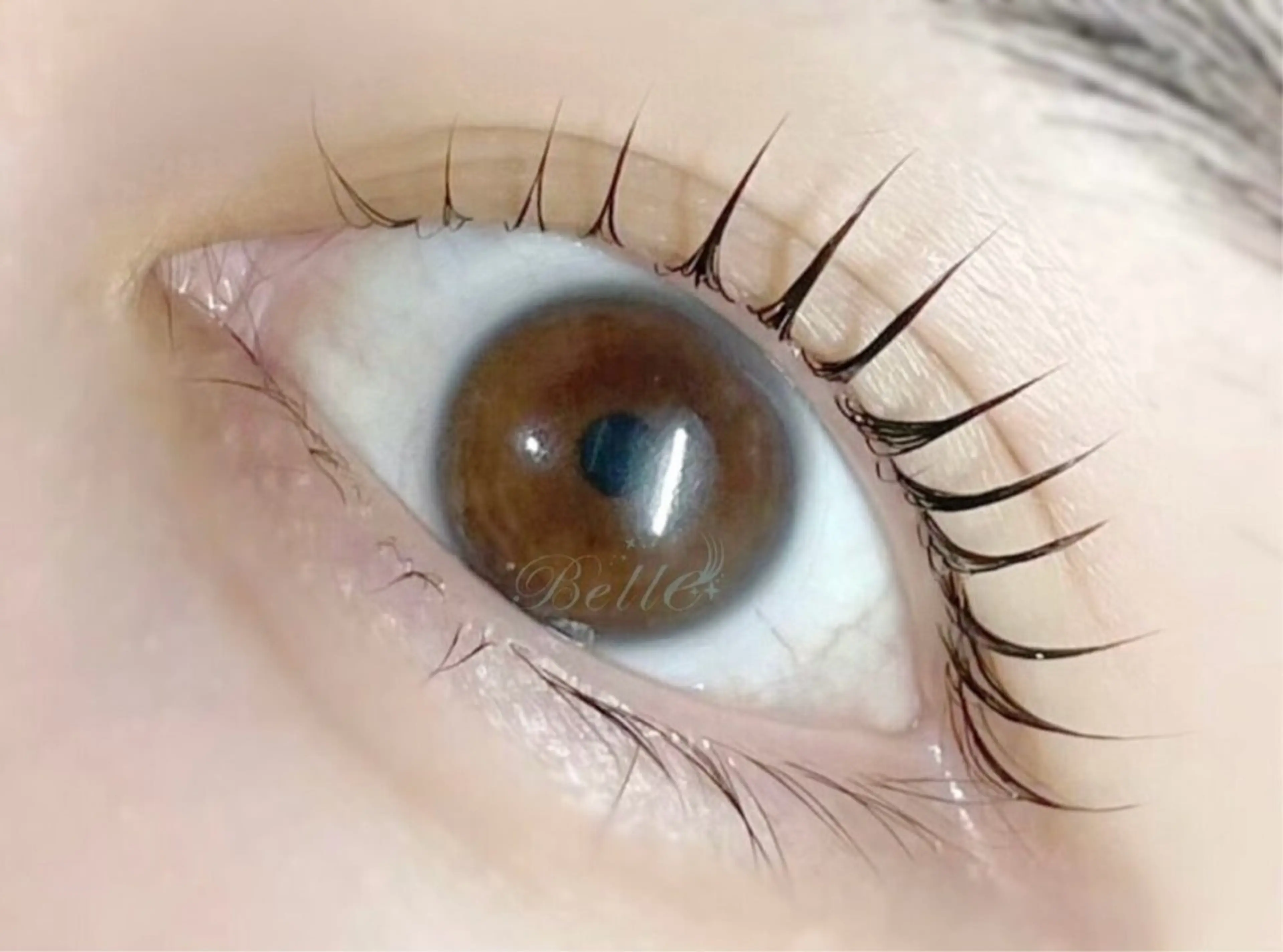 マツエク・マツパ Belle 乾のマツエク・マツパデザイン