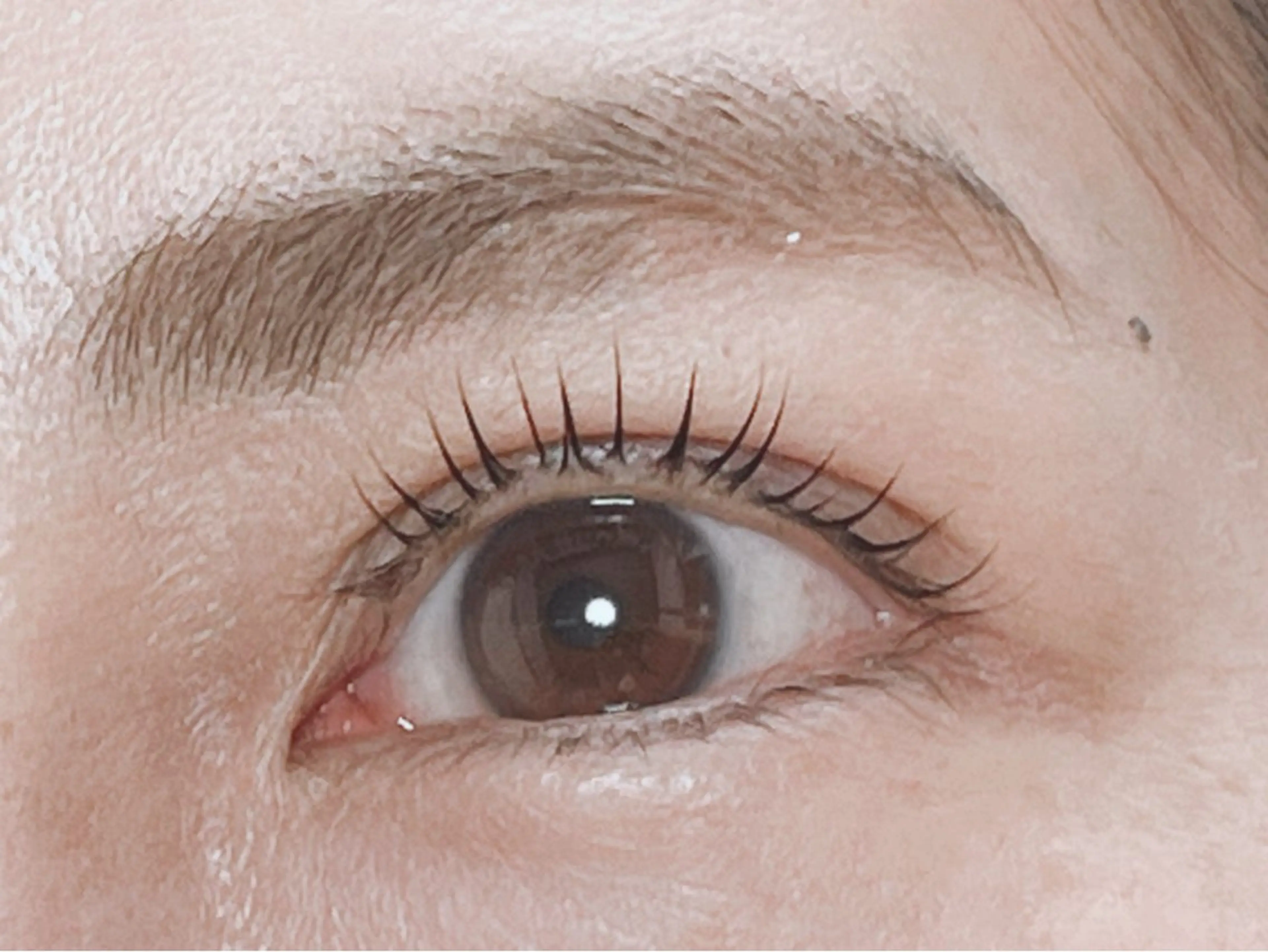 マツエク・マツパ annabelle 大野のマツエク・マツパデザイン