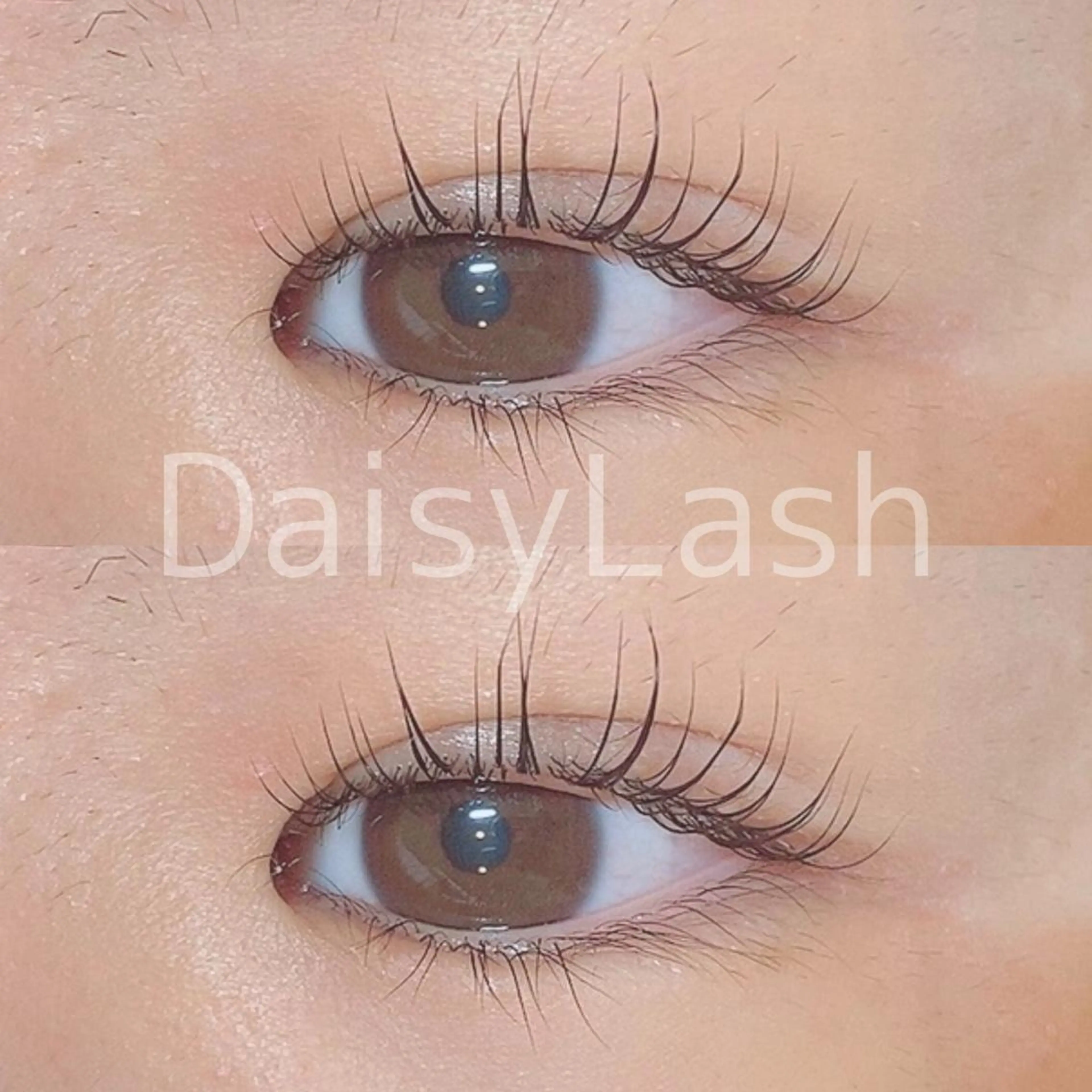 マツエク・マツパ DaisyLash 京橋店のマツエク・マツパデザイン