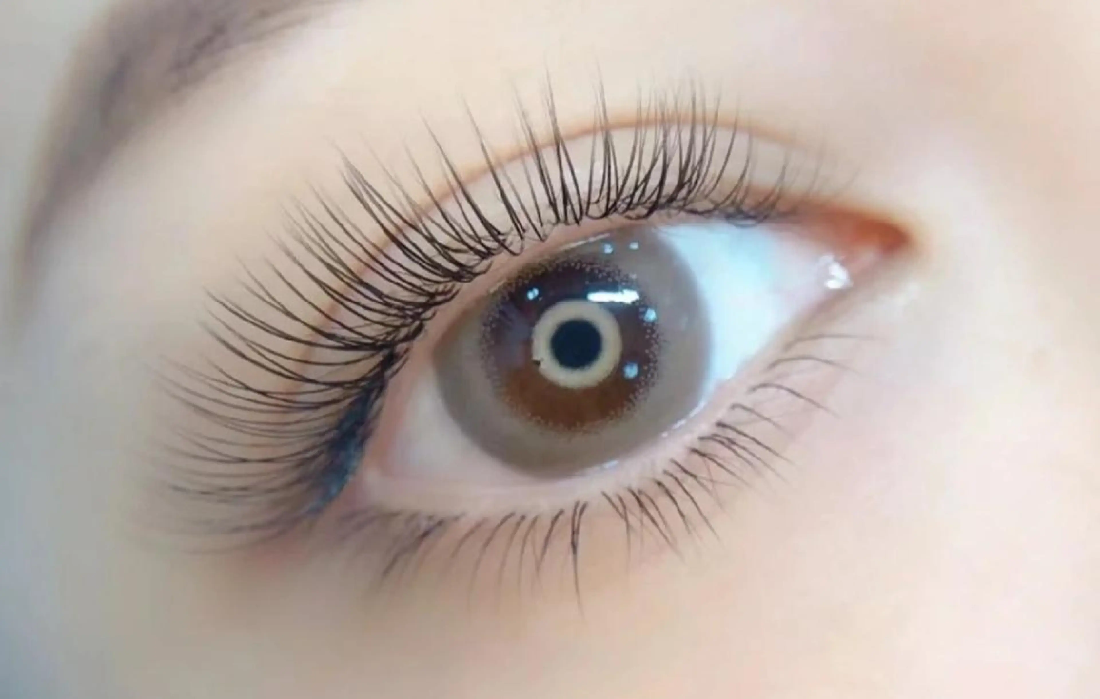 特別セット🌻フラットラッシュ140本+下20本🌻　初回オフ無料　アイシャンプー&アイパック付の写真