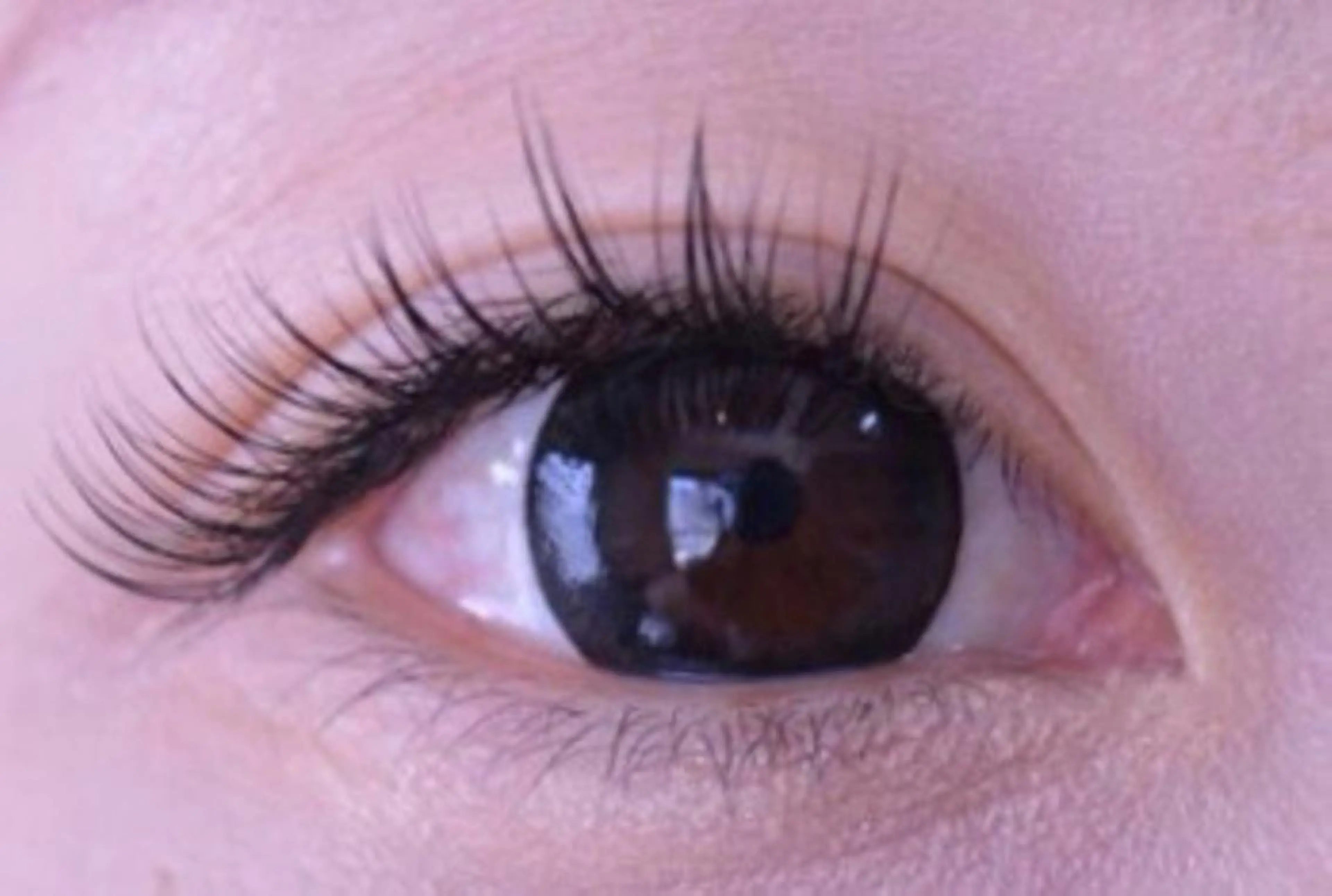 ボリュームラッシュ300本6500円/400本7500円(オフ込)の写真