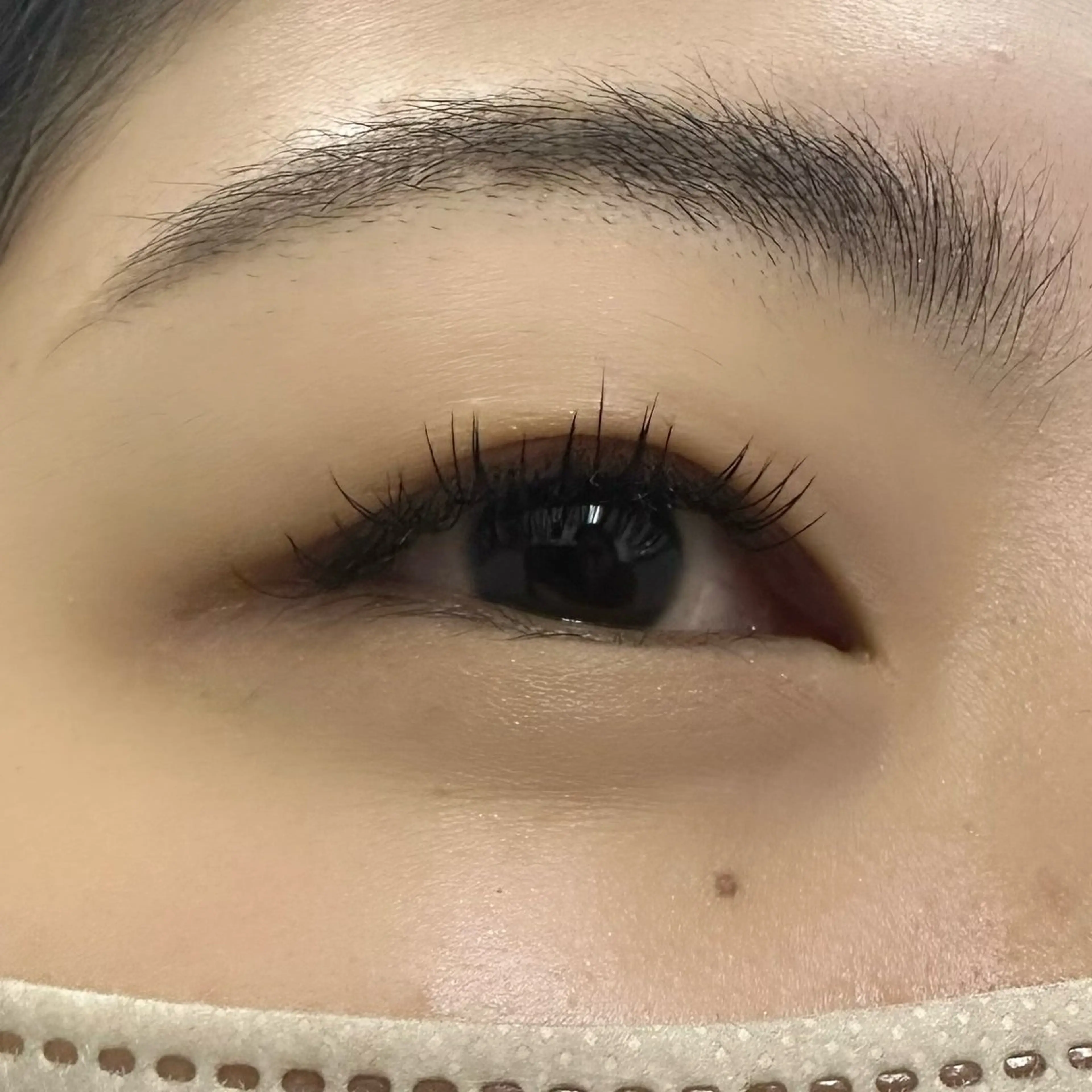 マツエク・マツパ Cカール ナチュラル セーブル マツエク Miyu🦄ash メンズカット/まつげのヘアスタイル