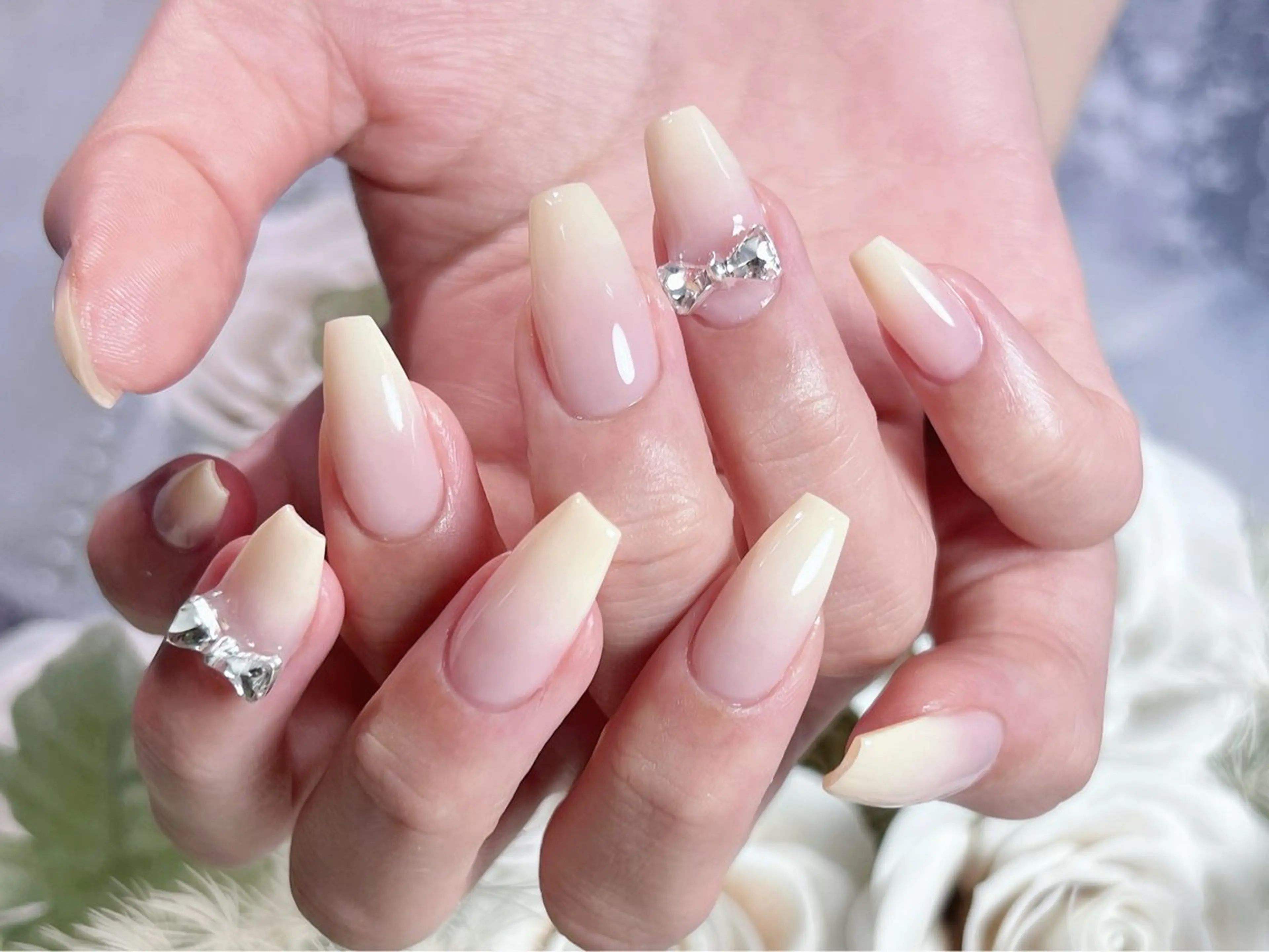 ベビーブーマー&グラデーションの写真