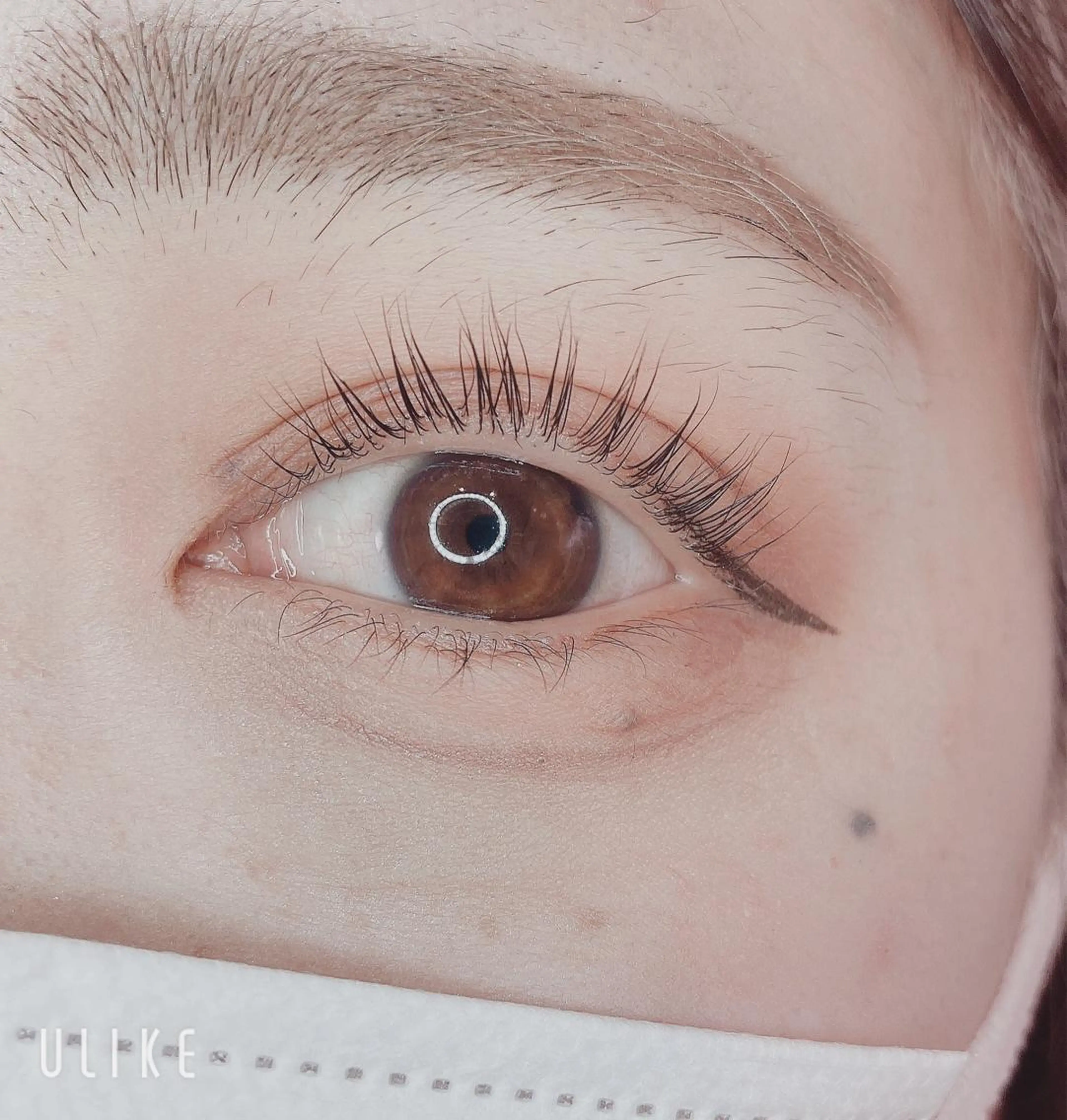 マツエク・マツパ TIARA池袋西口店 店長YASUKA💐のマツエク・マツパデザイン