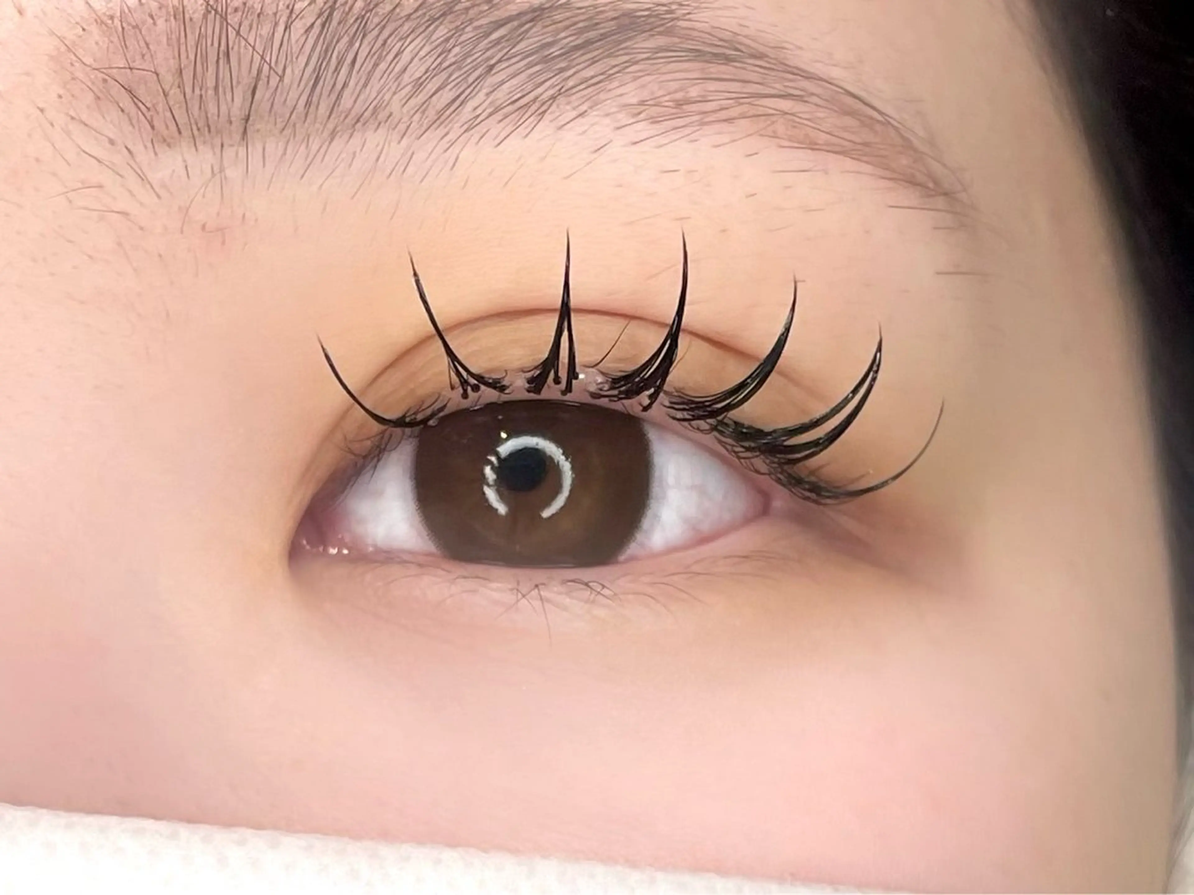 【撮影モデル】LEDフラットラッシュ120本×アンドヘルシー（エクパ）の写真