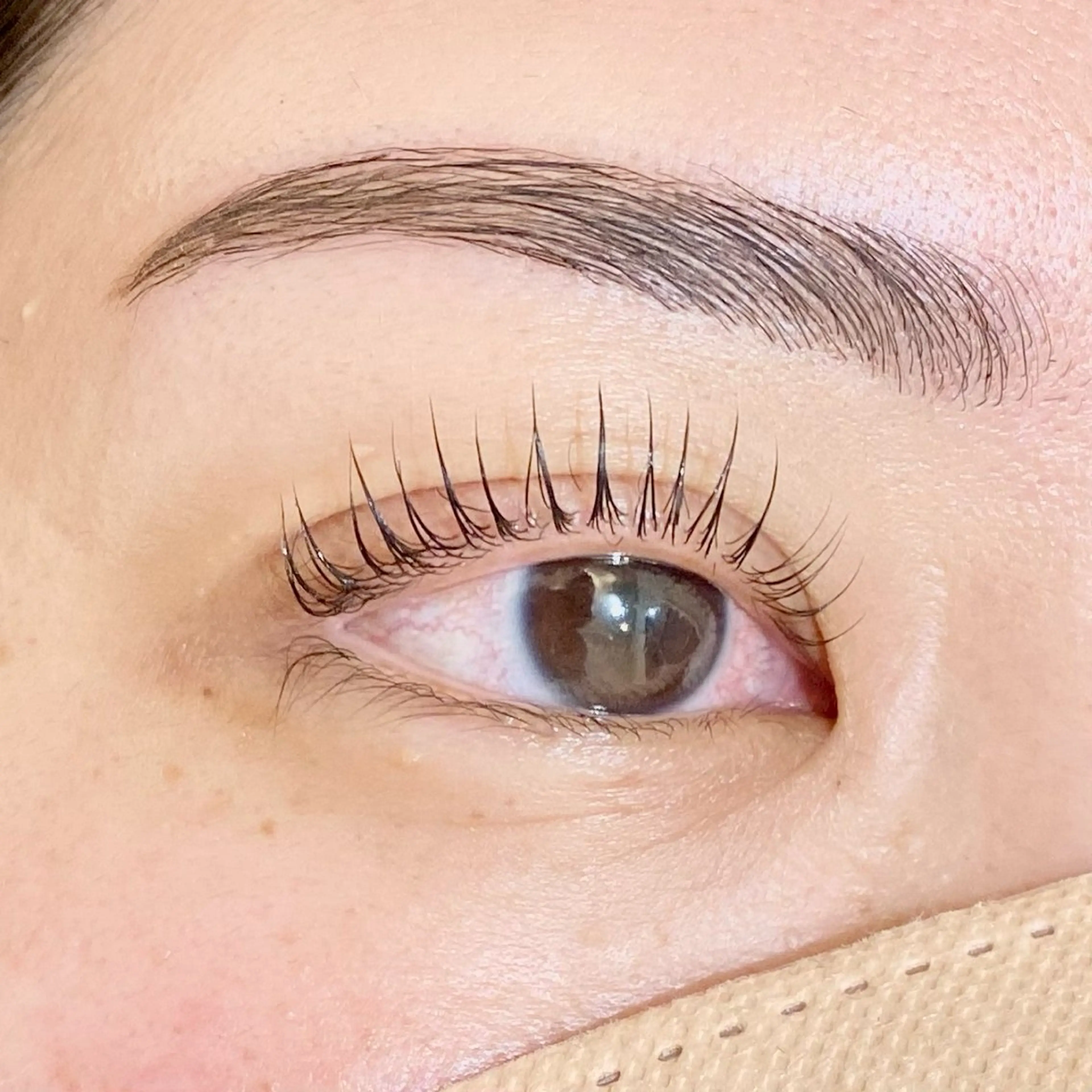 平日限定🍃パリジェンヌラッシュリフト＋眉waxの写真