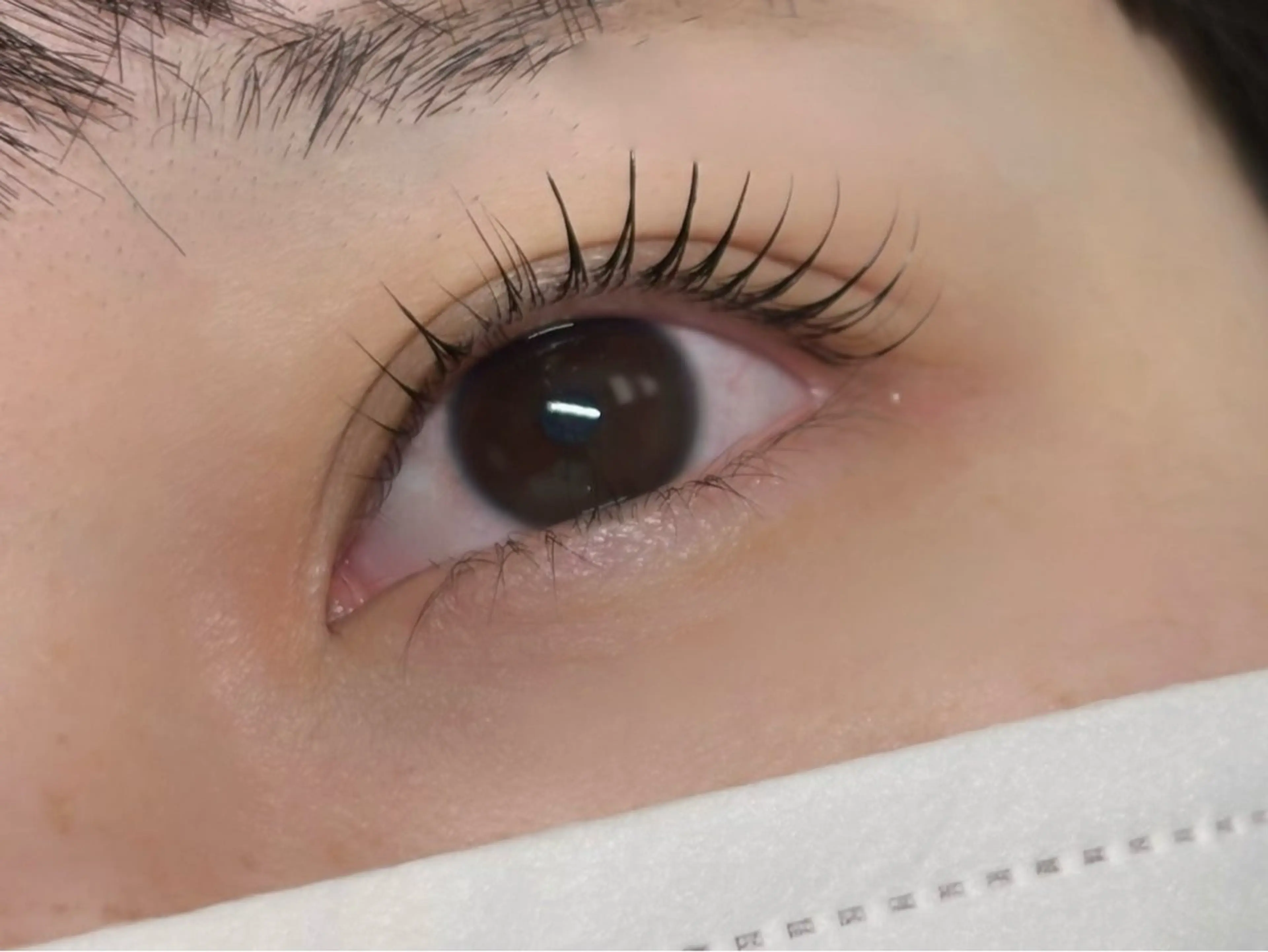 マツエク・マツパ マツパ tres momokaのマツエク・マツパデザイン