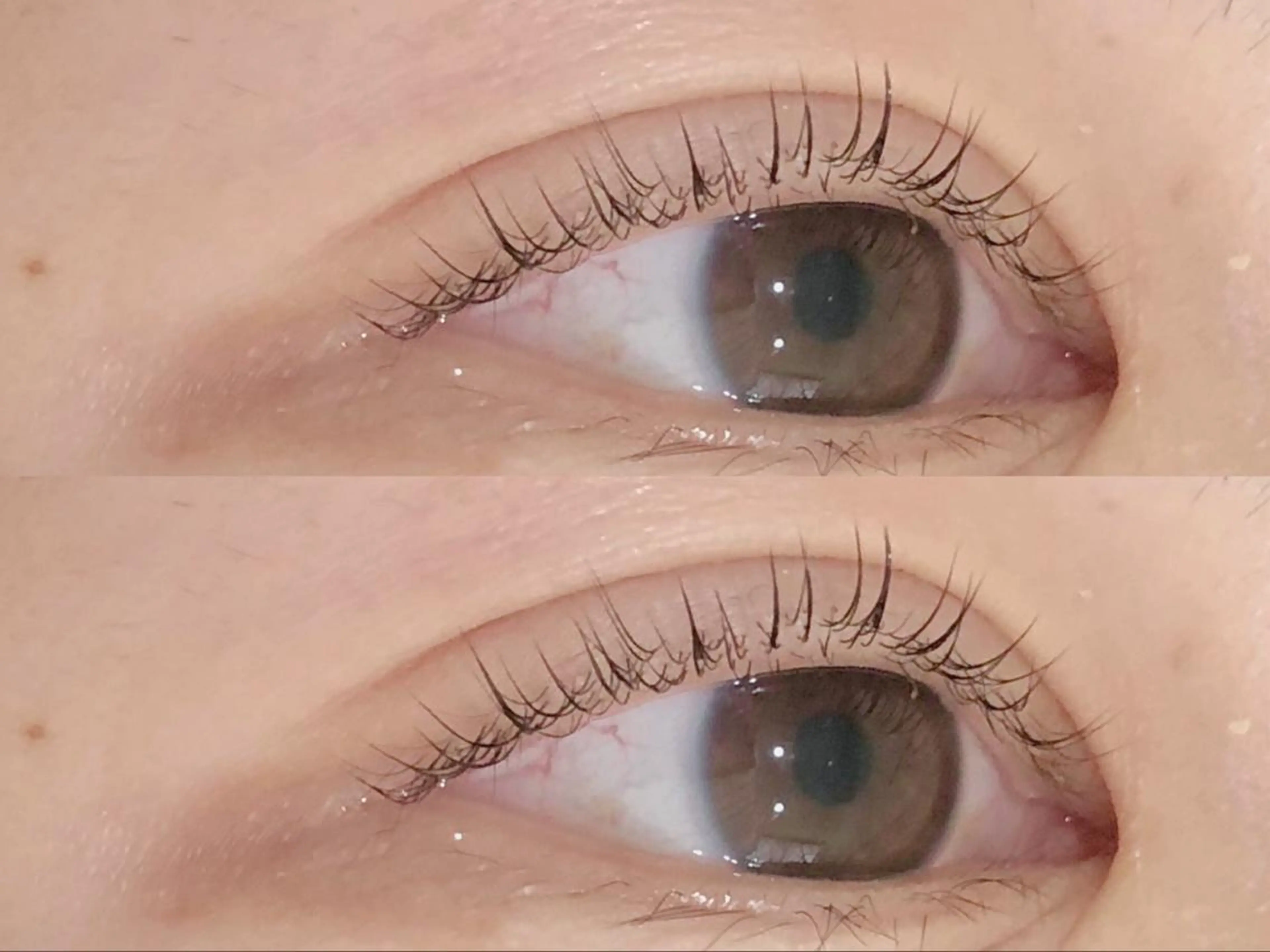 マツエク・マツパ マツパ GALN 🎀 yumi パリエクのマツエク・マツパデザイン