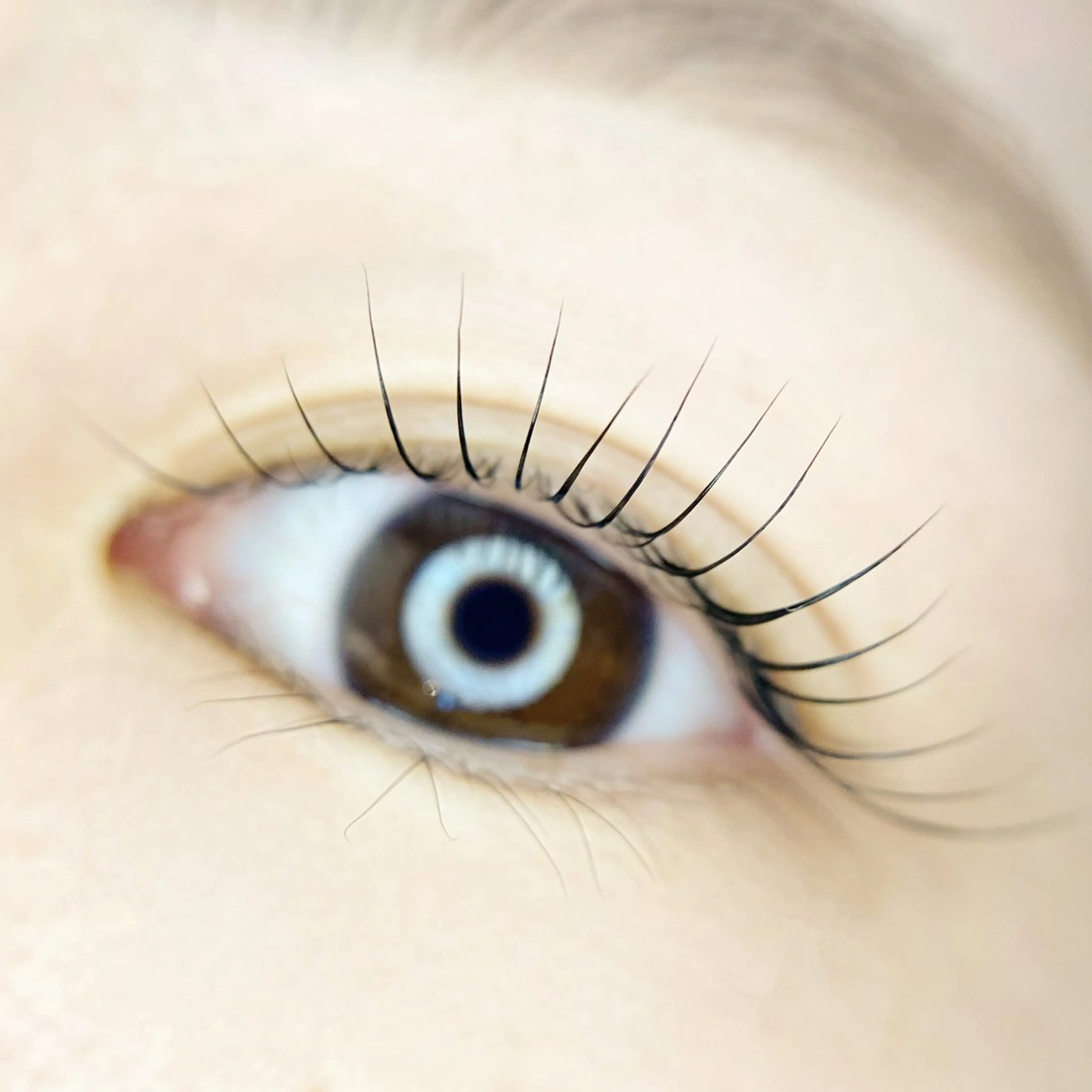 マツエク・マツパ 束感まつ毛 ナチュラル 【Calm藤沢店】 MIKAMI REIのマツエク・マツパデザイン