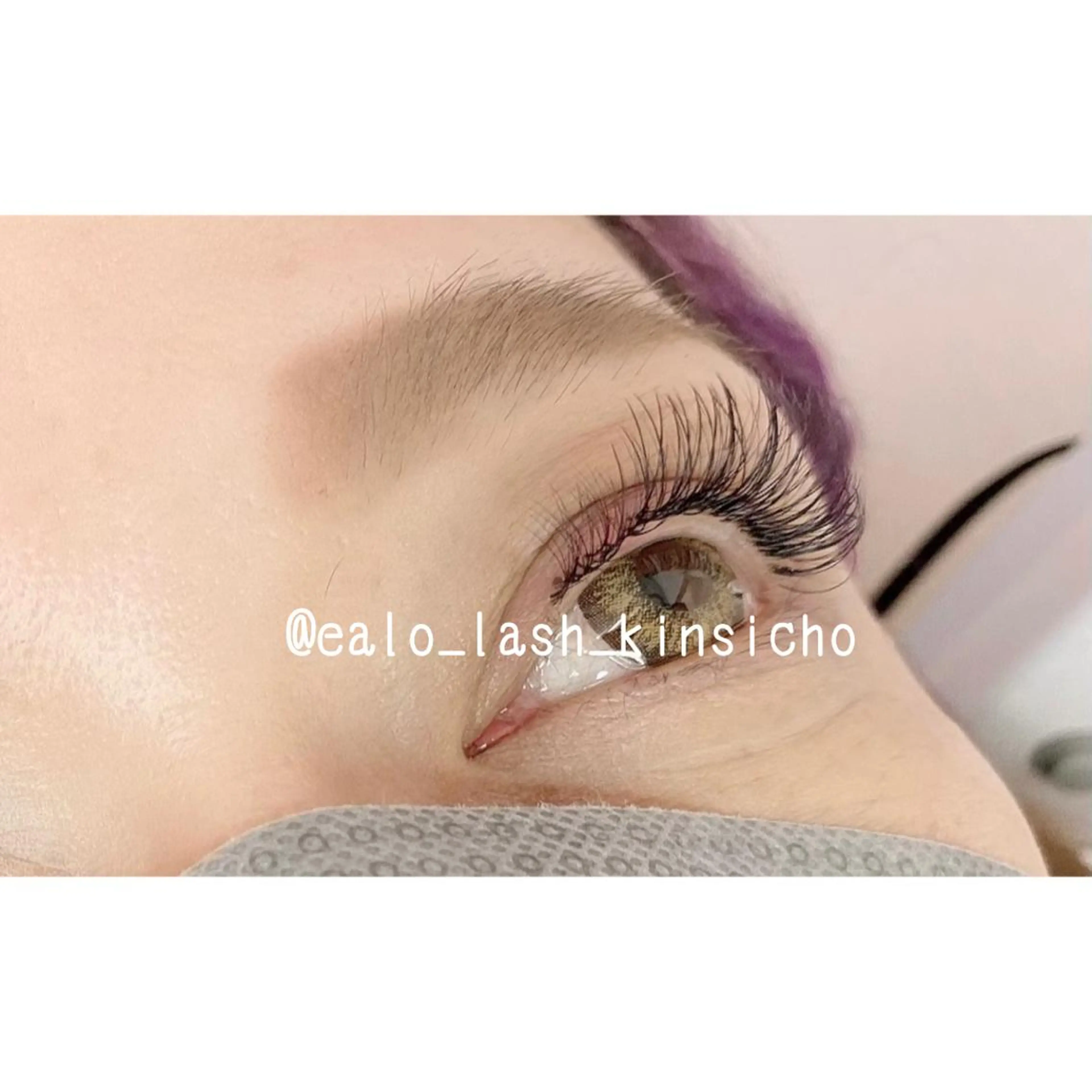 《新規》セーブル180本の写真