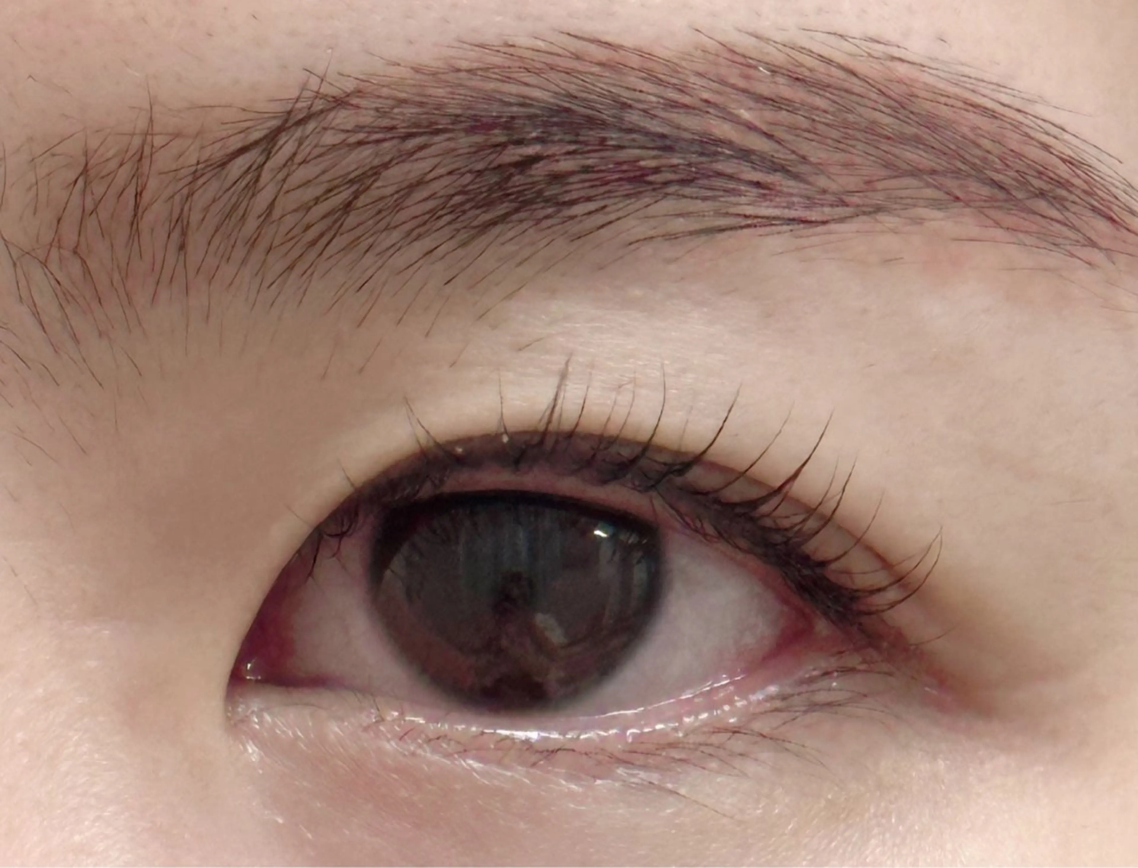 マツエク・マツパ まつげパーマ kico.coサロン 池袋ニ丁目店のマツエク・マツパデザイン