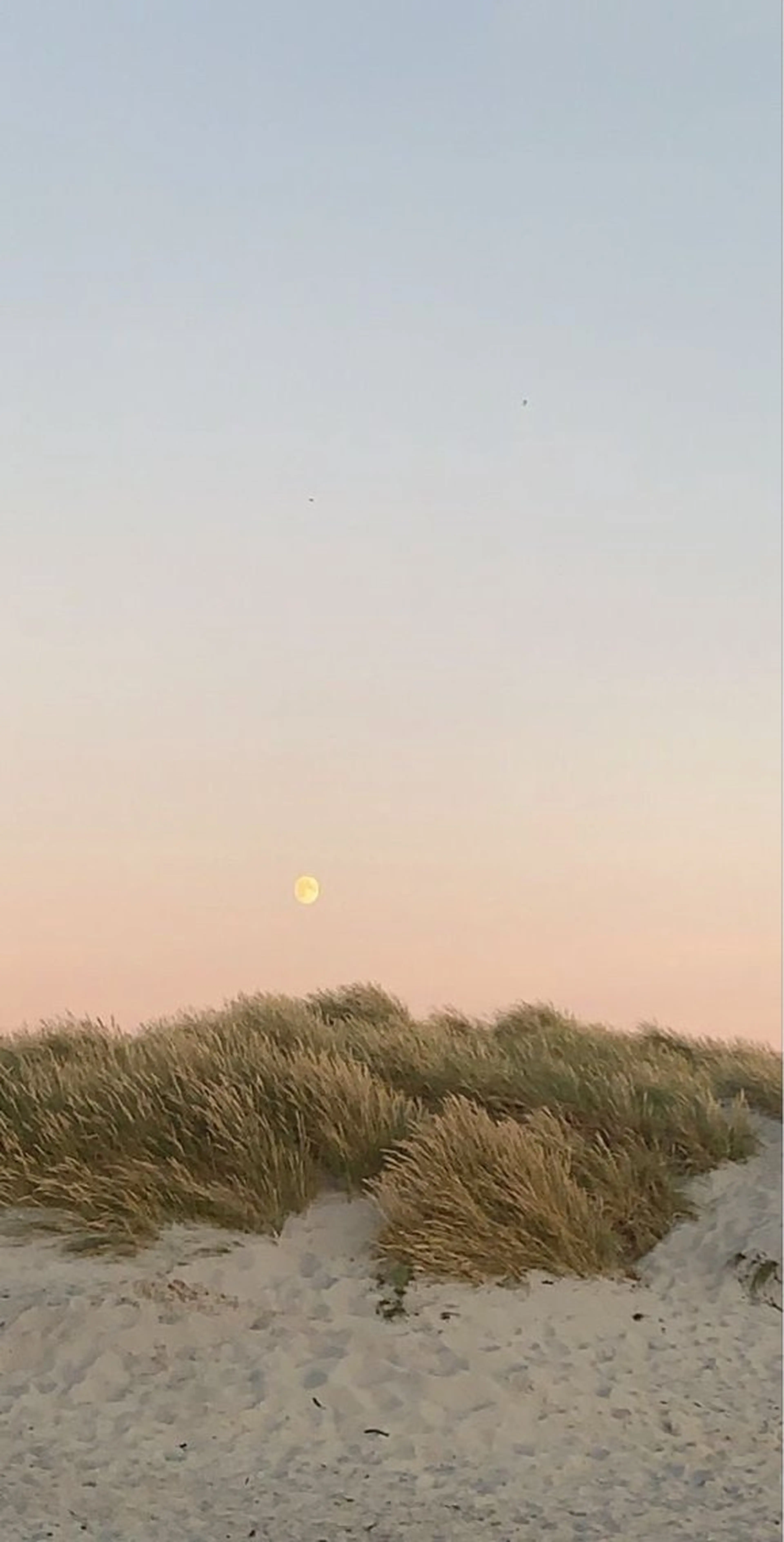 マツエク・マツパ lucara所属・トップアイリスト♡ sayaのマツエク・マツパデザイン