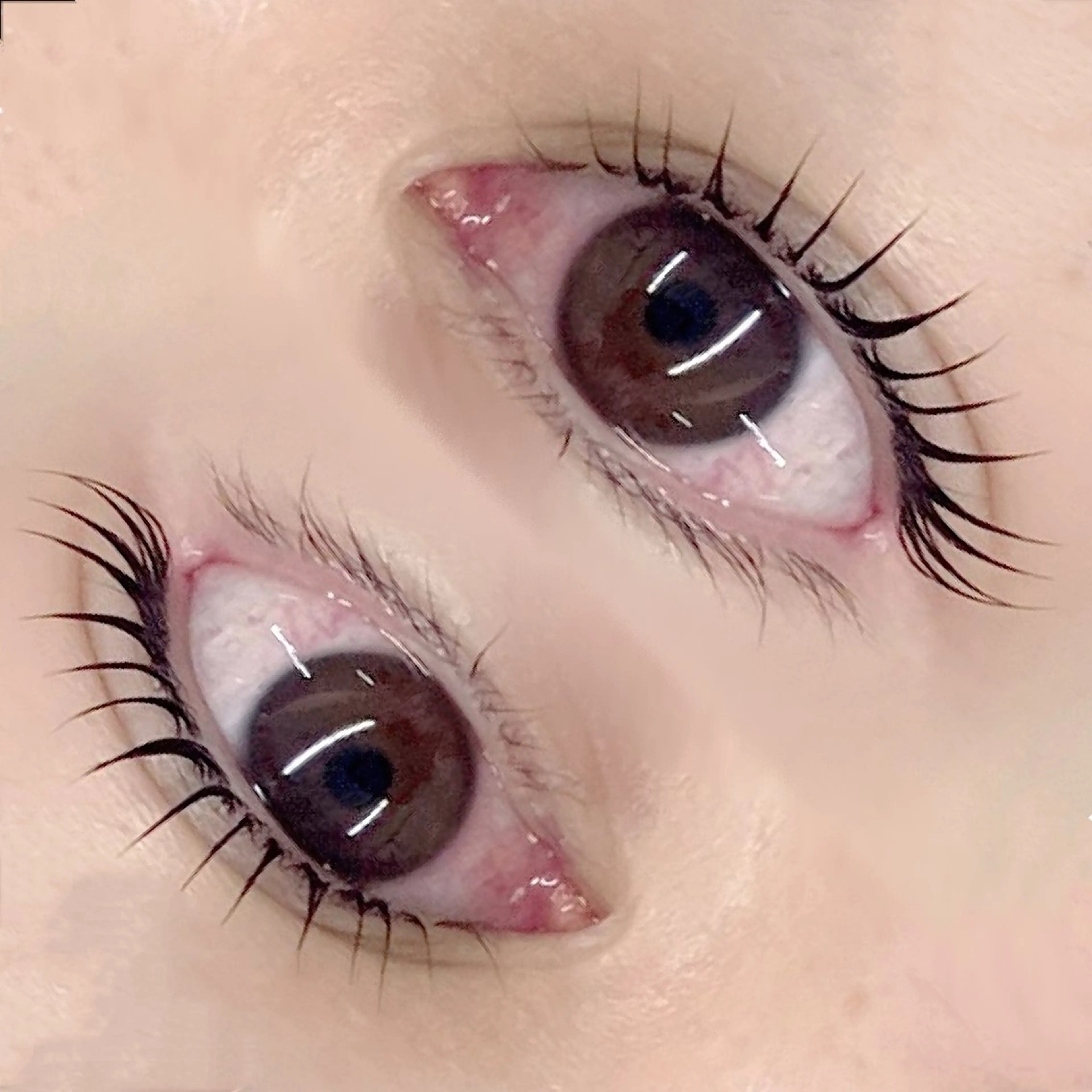 マツエク・マツパ フジ ワラのマツエク・マツパデザイン