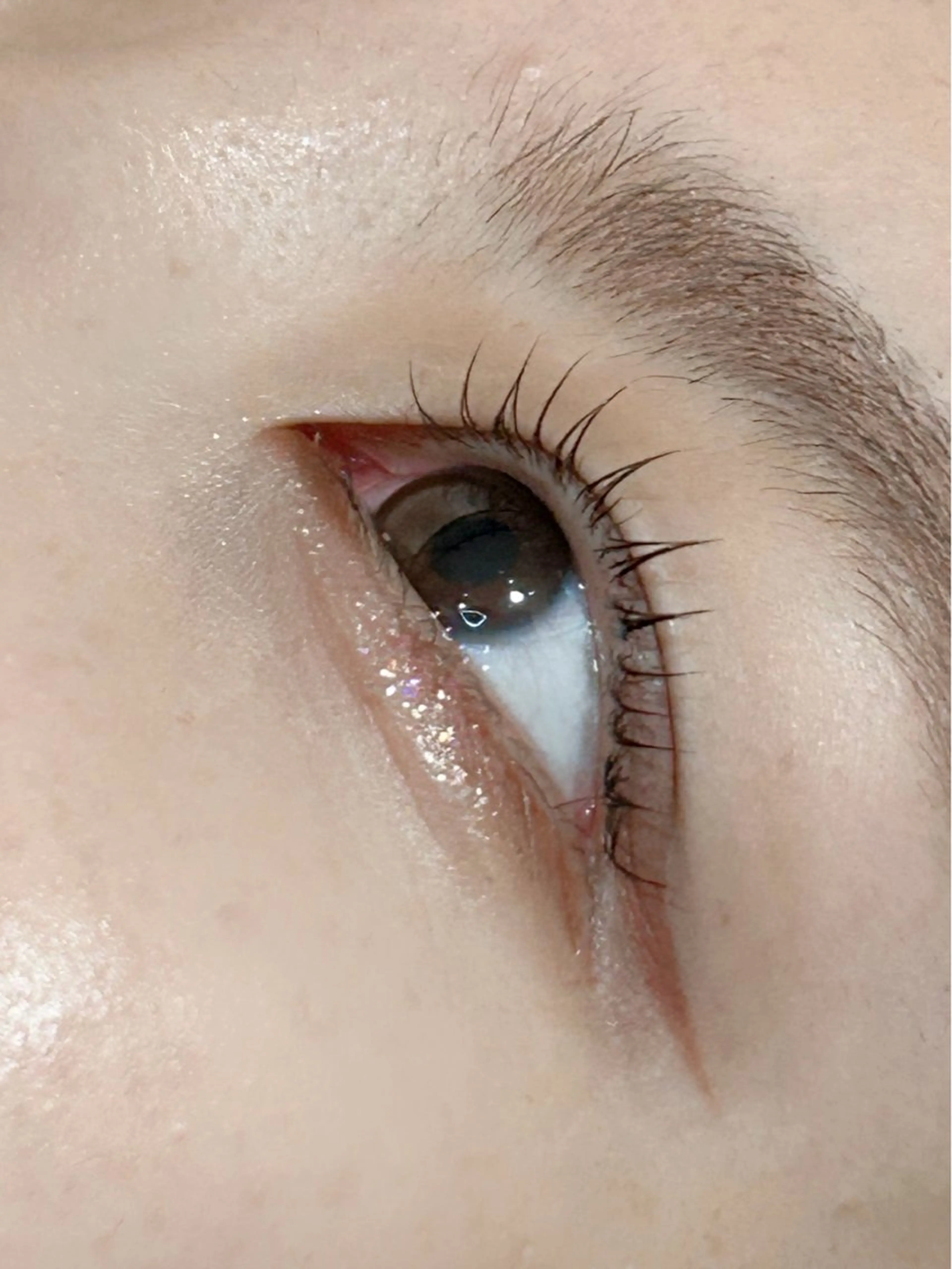 【ご新規様限定】まつ毛パーマ♡つやつやコーティング付き✨の写真