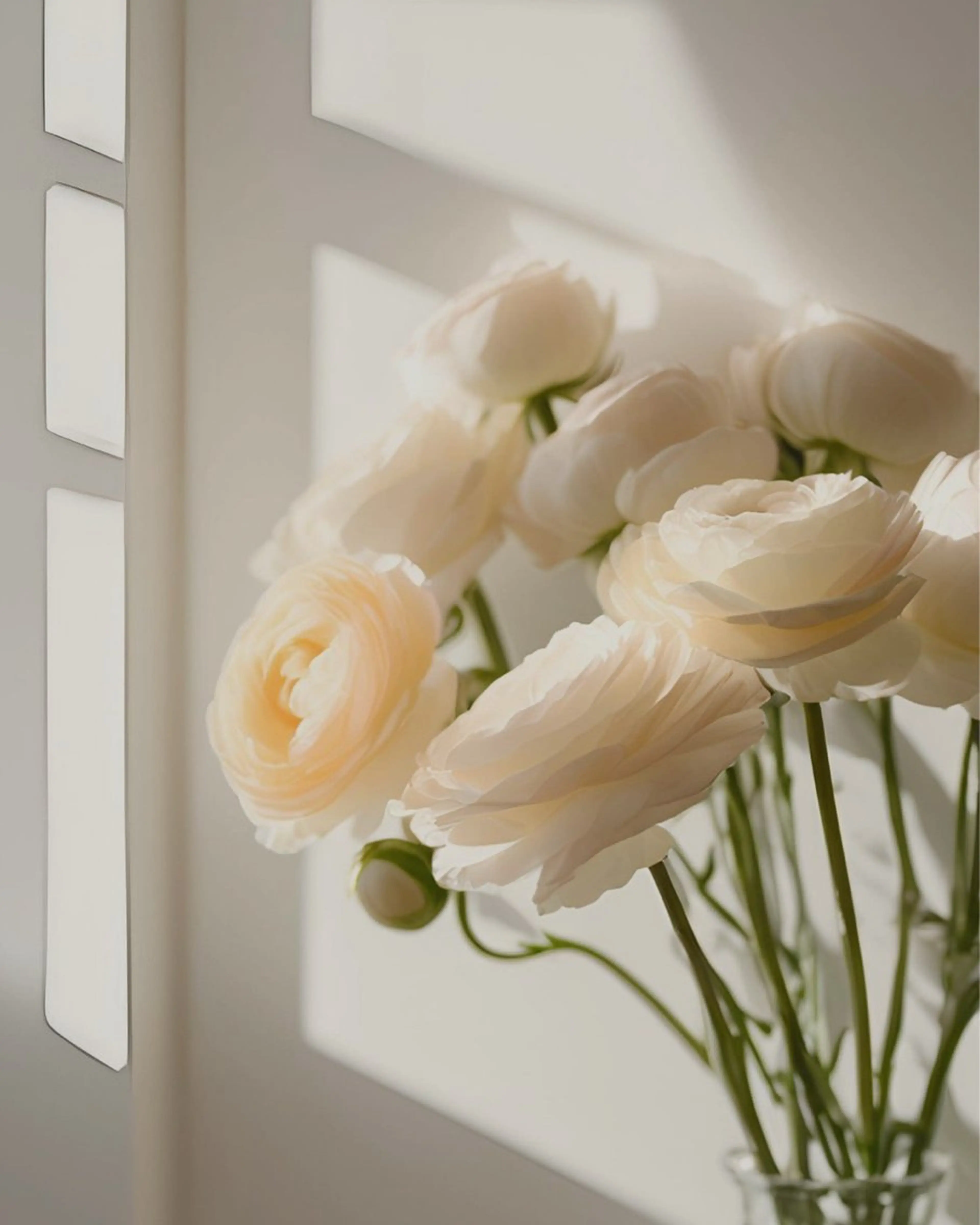 2.3回目クーポン❣️バインドロック80束までつけ放題(片目40束🩵)の写真