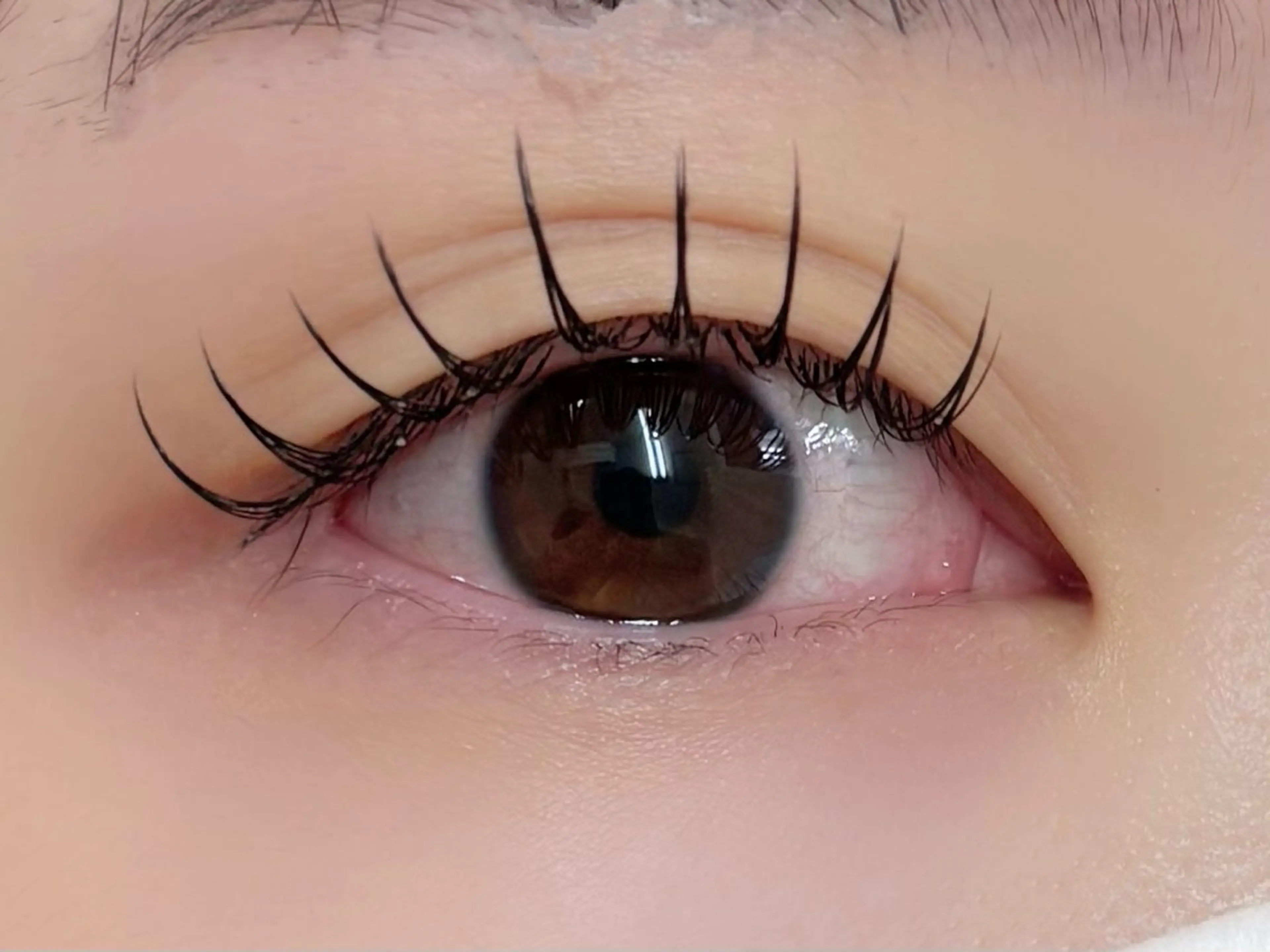 マツエク・マツパ Dカール フラットラッシュ マツエク alice tokyo上村★のマツエク・マツパデザイン