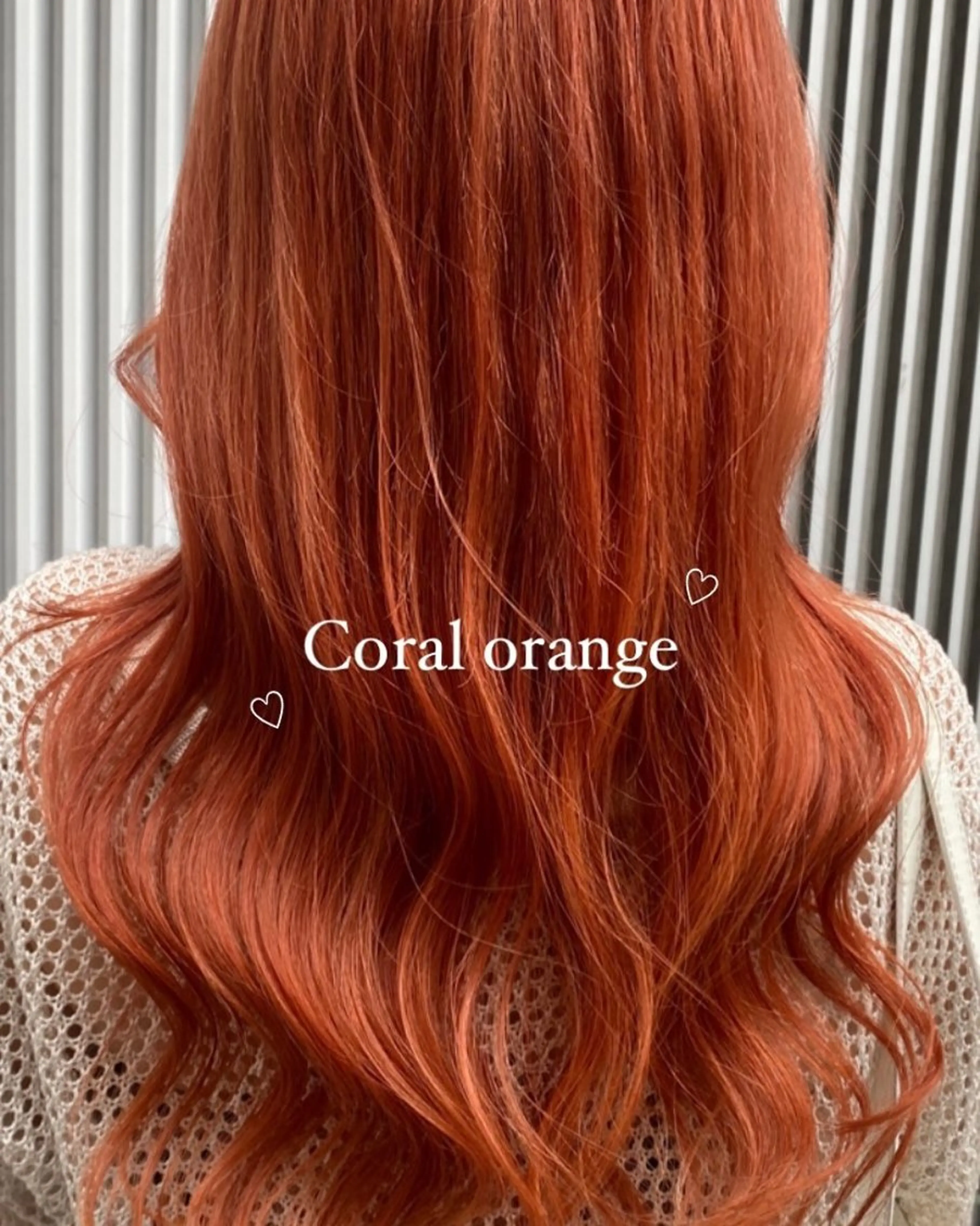 セミロング カラー ヘアアレンジ アンククロス渋谷【ANKH CROSS】所属・韓国ヘア┊︎レイヤー ┊︎haruka🌙のヘアスタイル