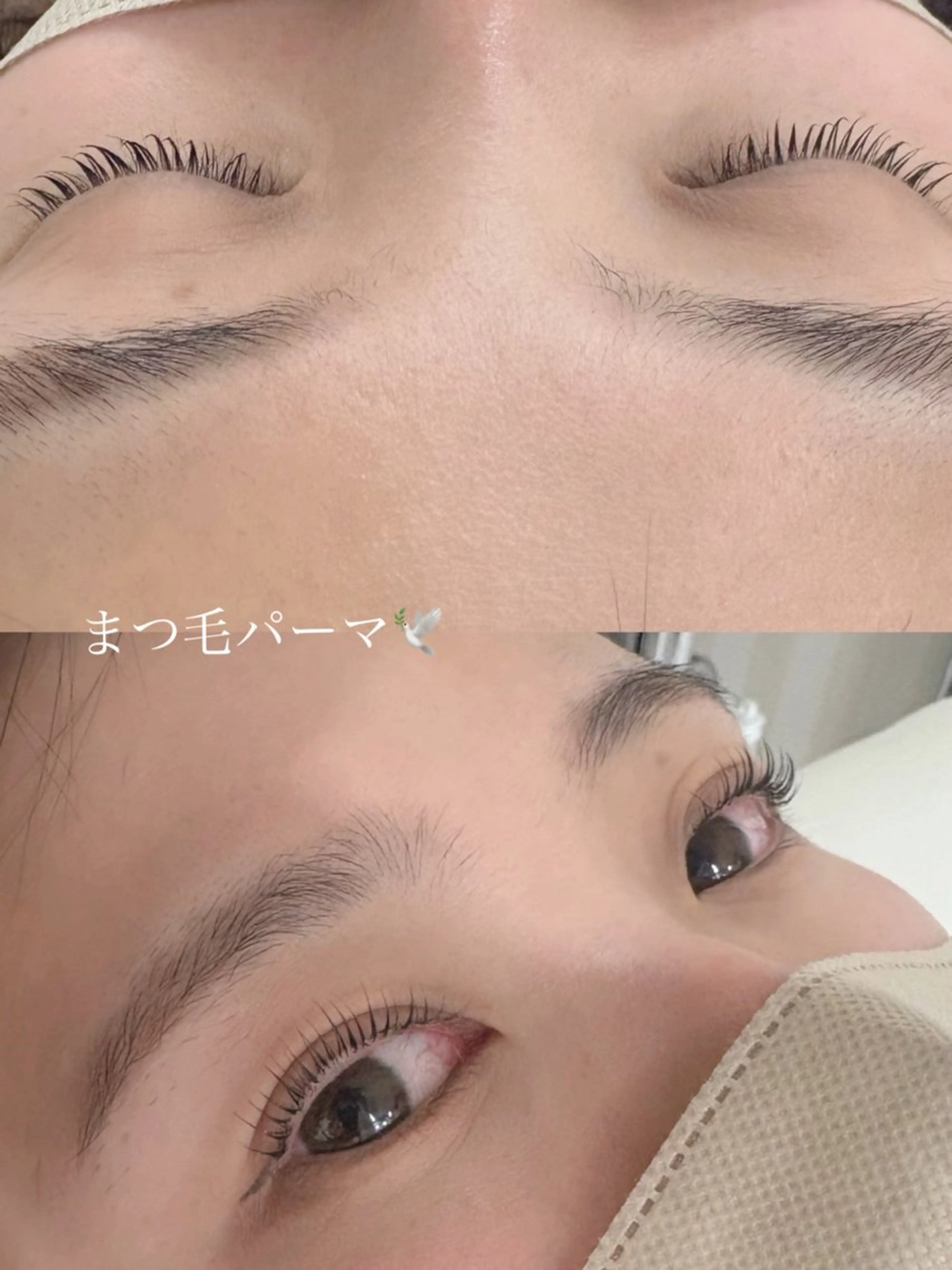 マツエク・マツパ Dカール 一重×まつ毛パーマ マツパ Beautyeyel ash京都中央口店のマツエク・マツパデザイン