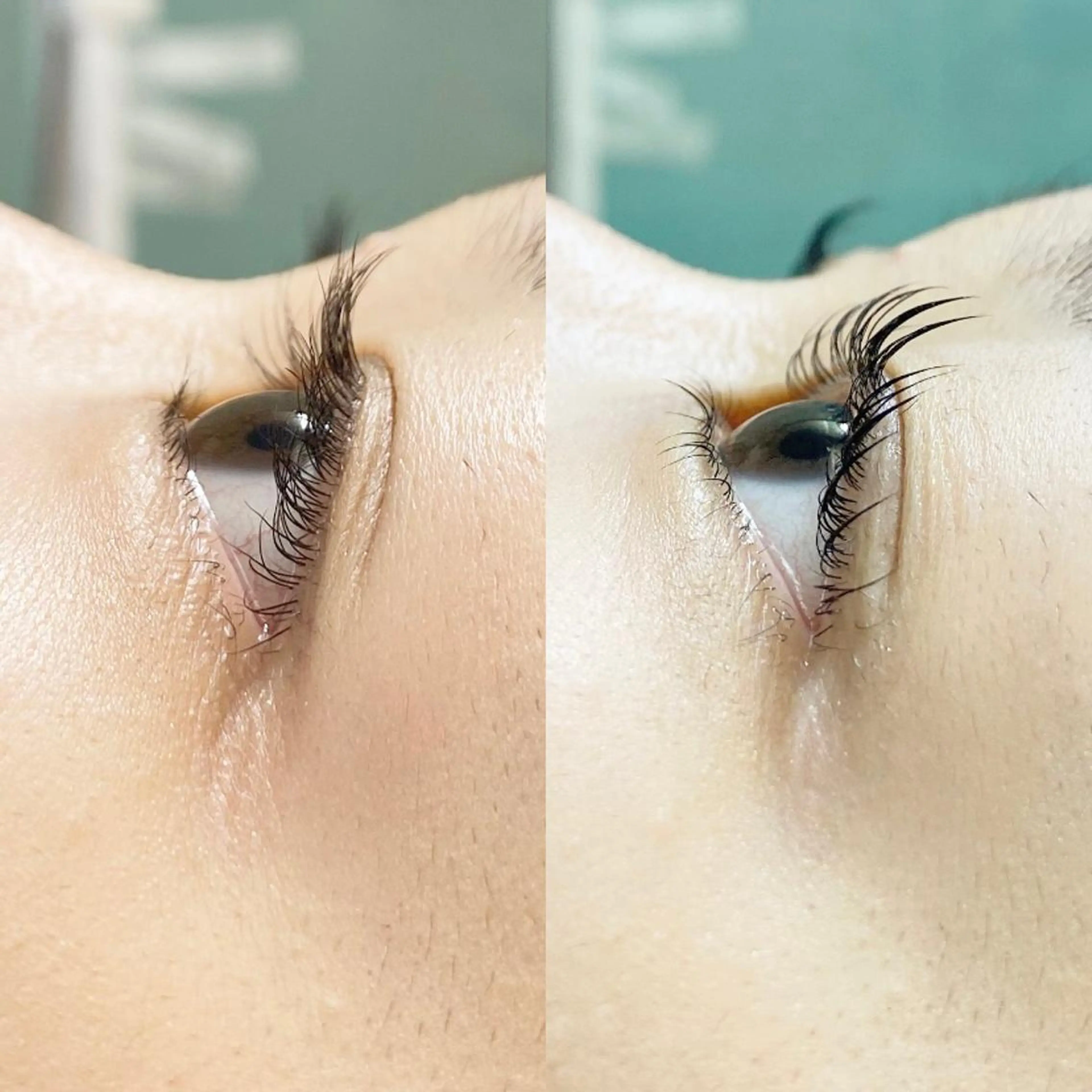 マツエク・マツパ まつげパーマ 下まつげエクステ or LATTe 仙台店のマツエク・マツパデザイン
