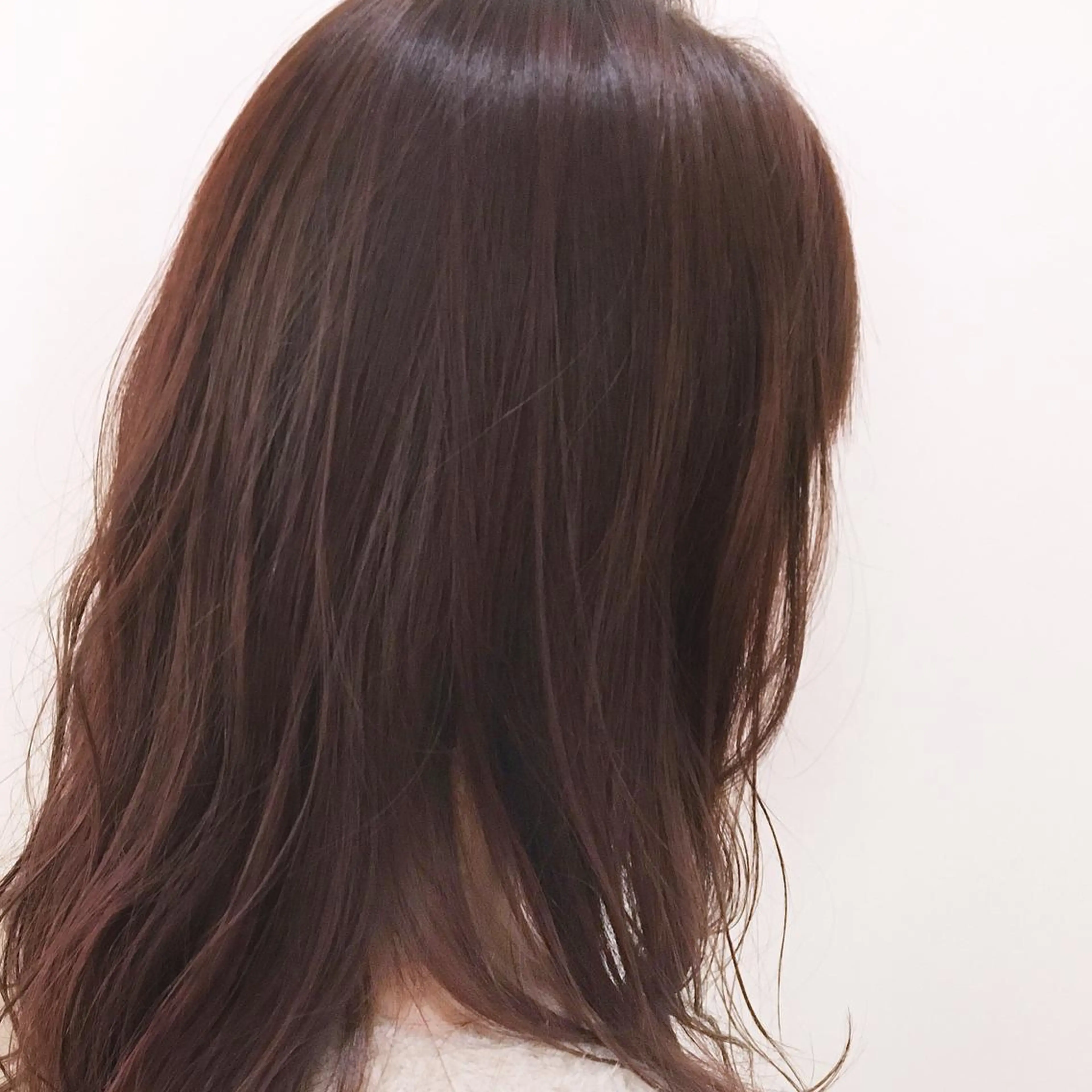 セミロング ブリーチなしダブル/ レイヤーカット 小棹のヘアスタイル