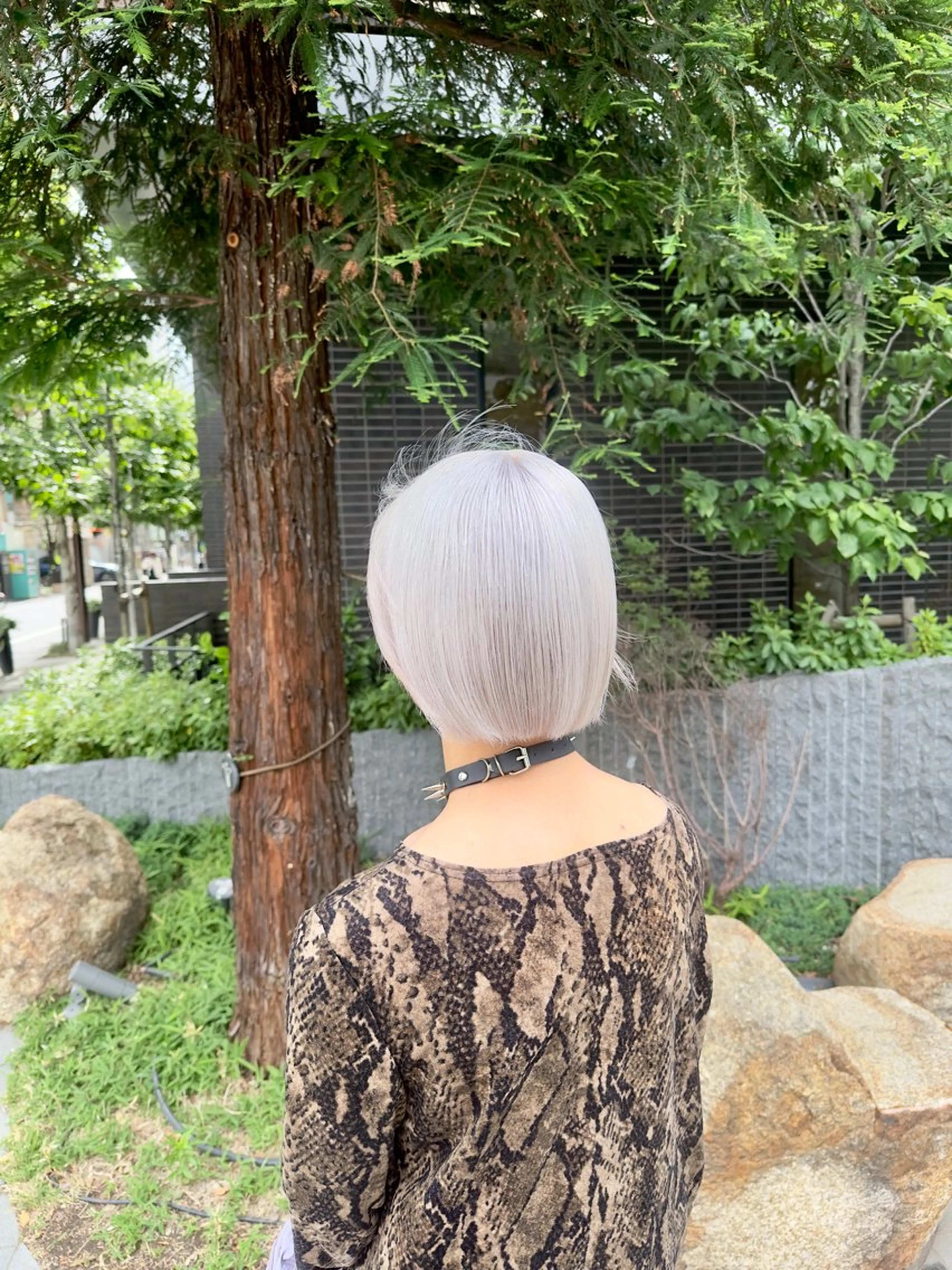 ショート カラー ハイトーンカラー シルバー chloe 【クロエ】のヘアスタイル