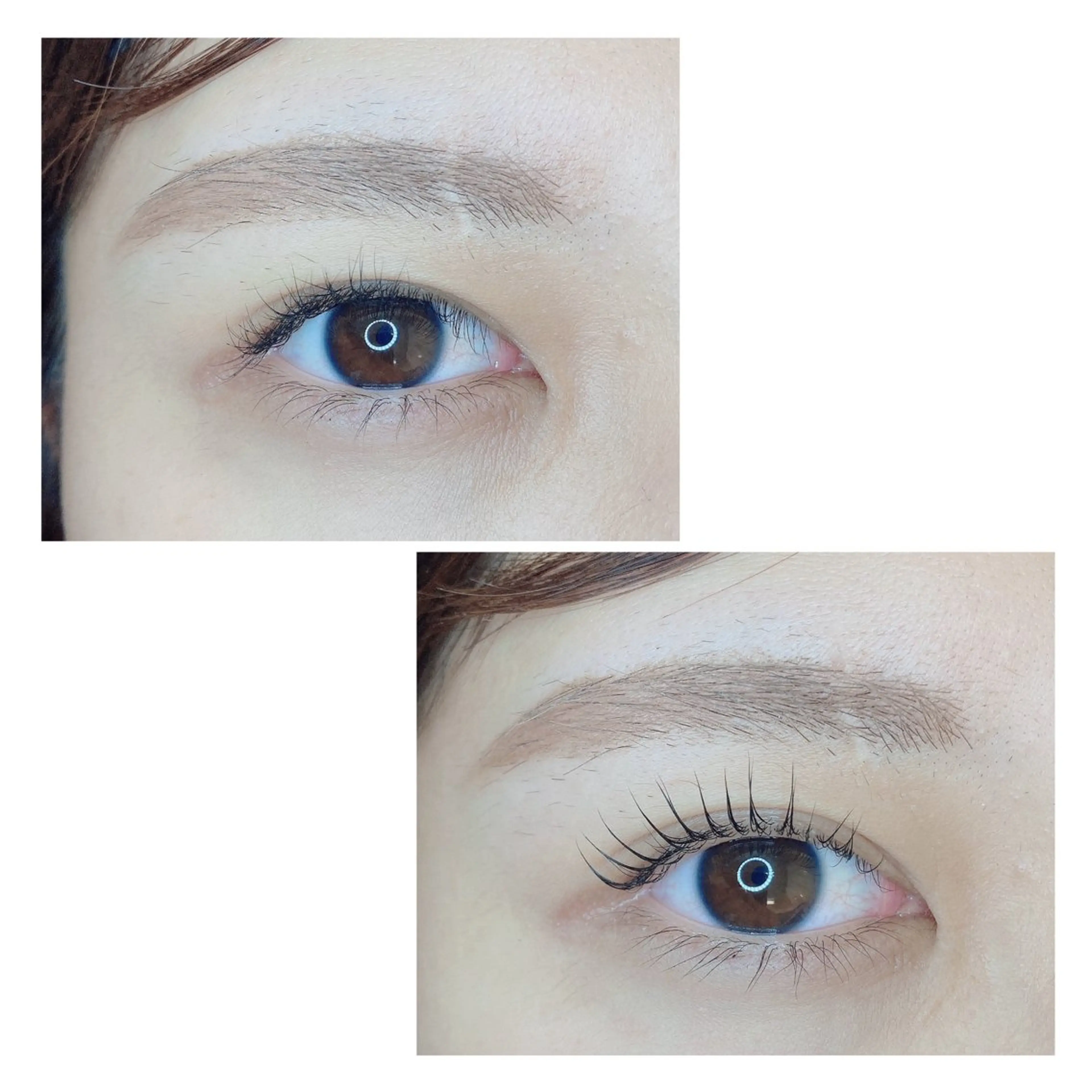 マツエク・マツパ TIARA池袋西口店 店長YASUKA💐のマツエク・マツパデザイン