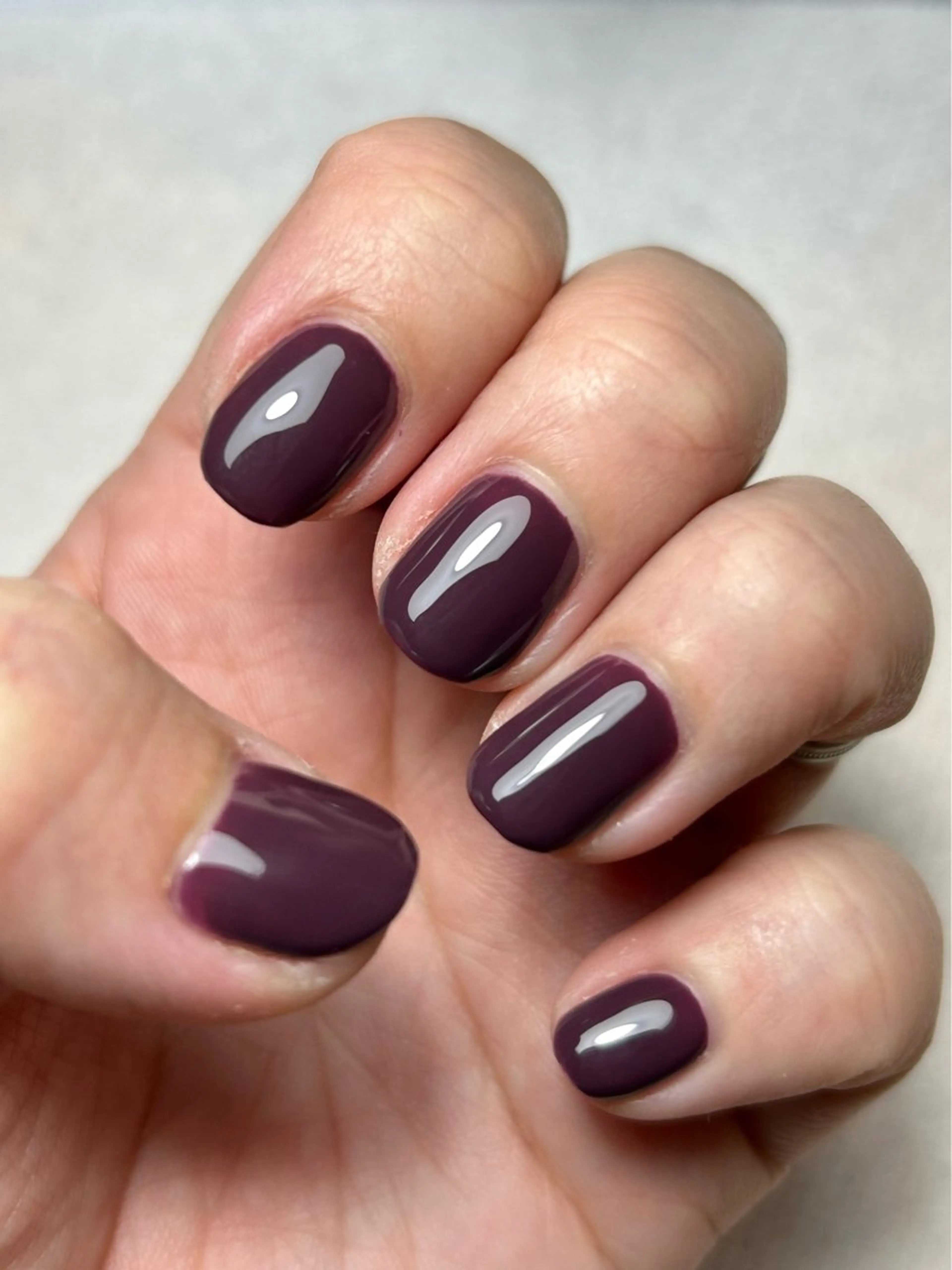 ワンカラー🧸(オフ無し)の写真