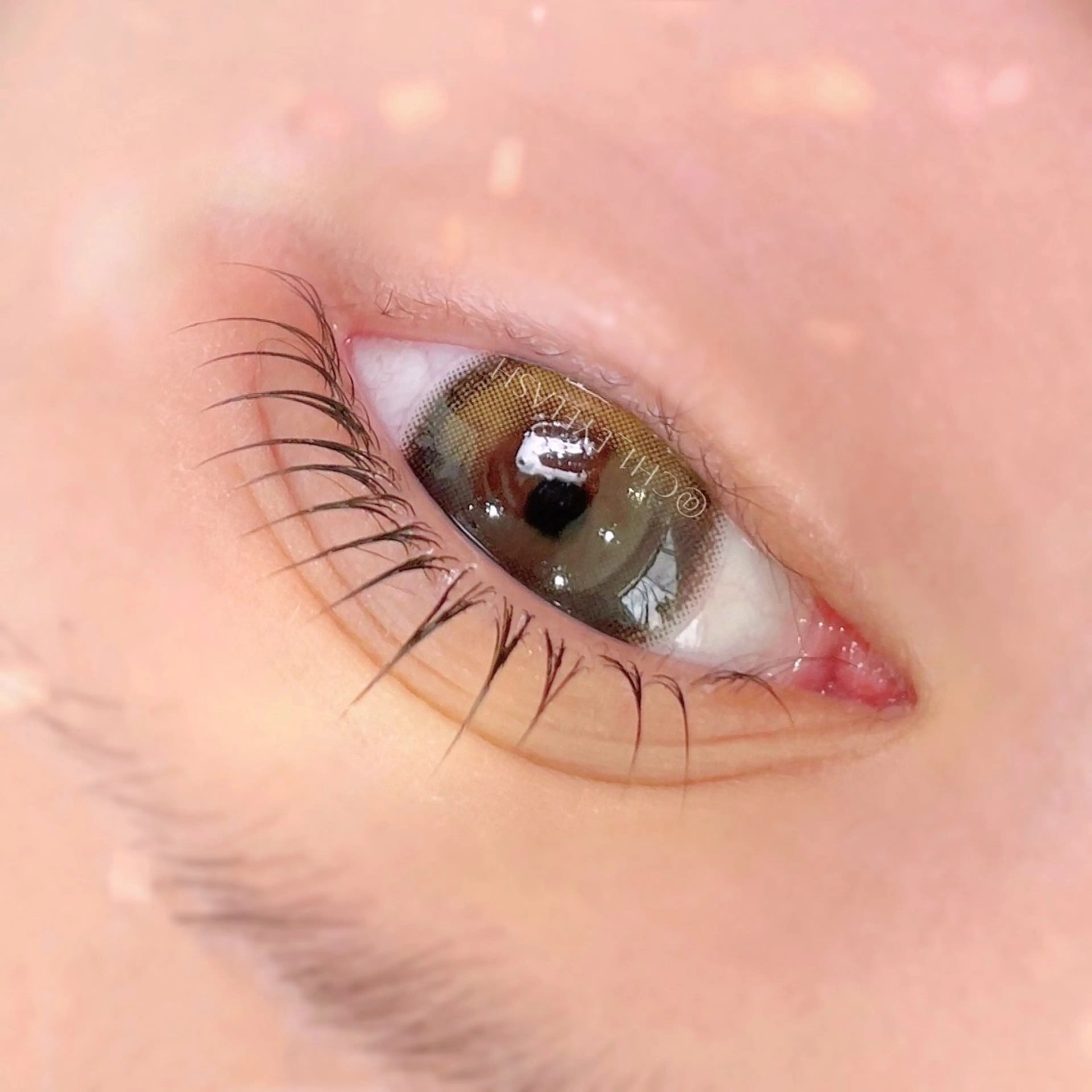 マツエク・マツパ 束感まつ毛 マツパ SEURA. Chikaのマツエク・マツパデザイン