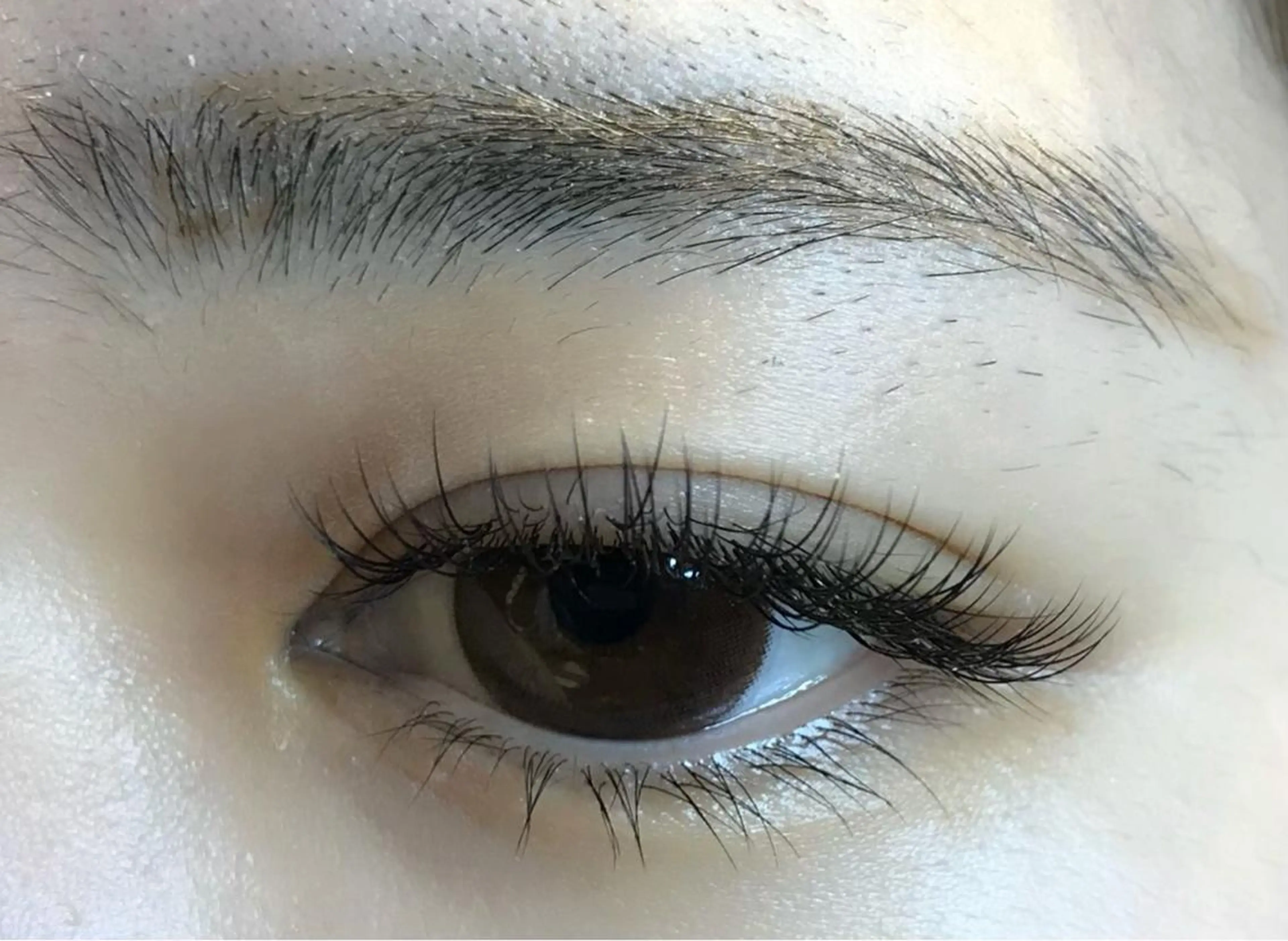 💛初回限定マツエク 150本💛の写真