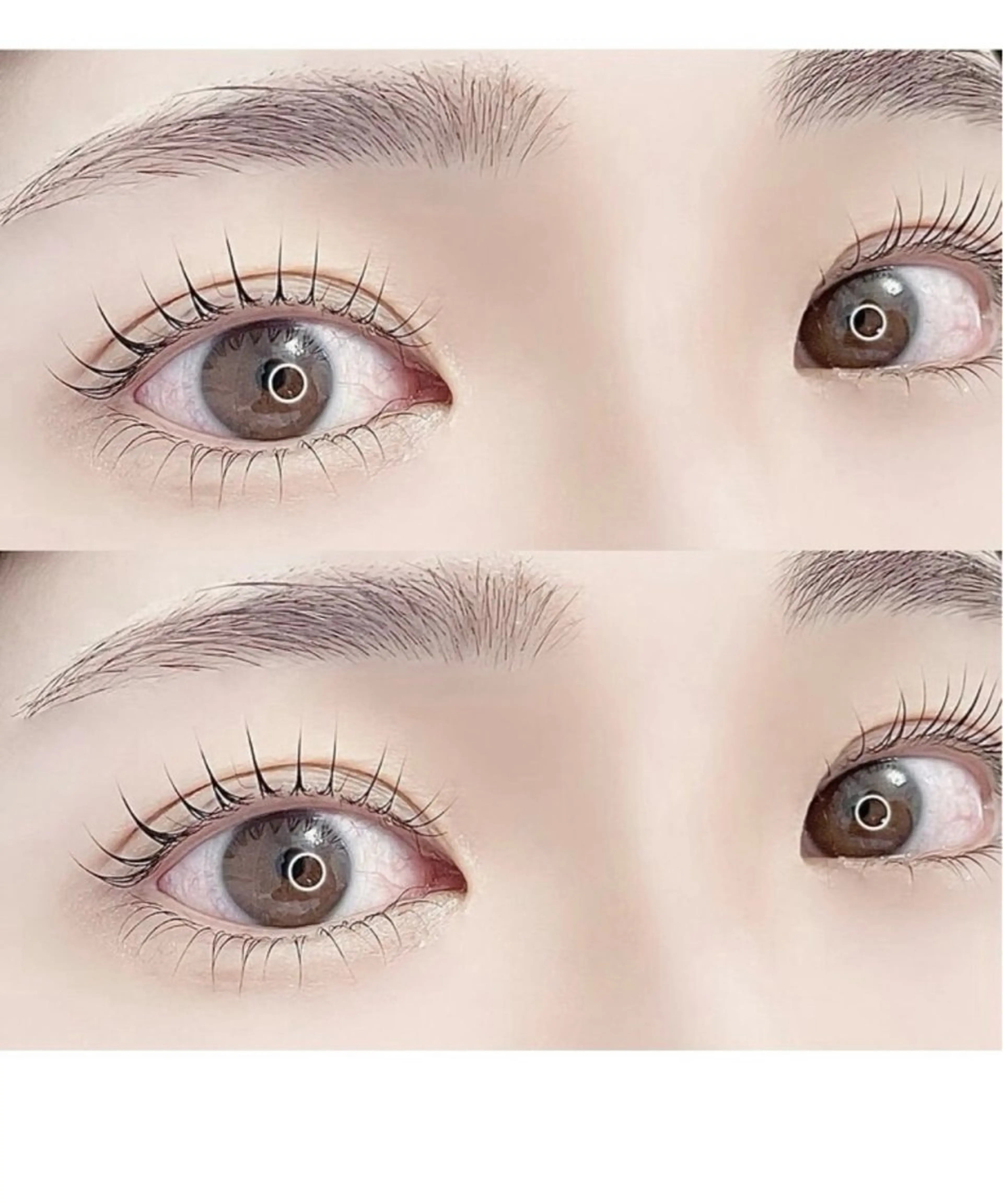 8月来店限定【上下まつげパーマ】ケラチントリートメント＆コーティング付き🌼リピーター様は+¥400の写真