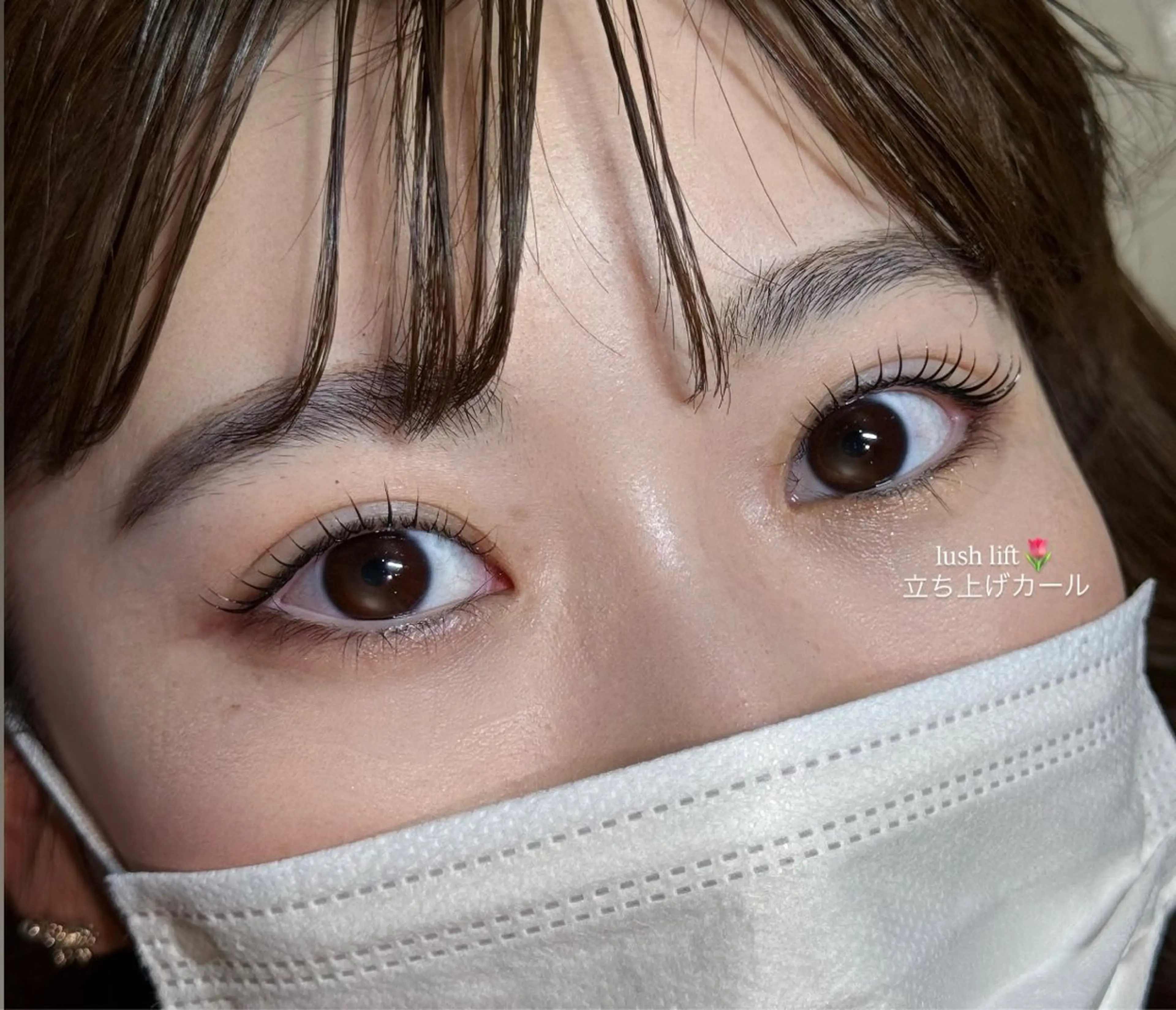 🌷立ち上げデザインラッシュリフトの写真