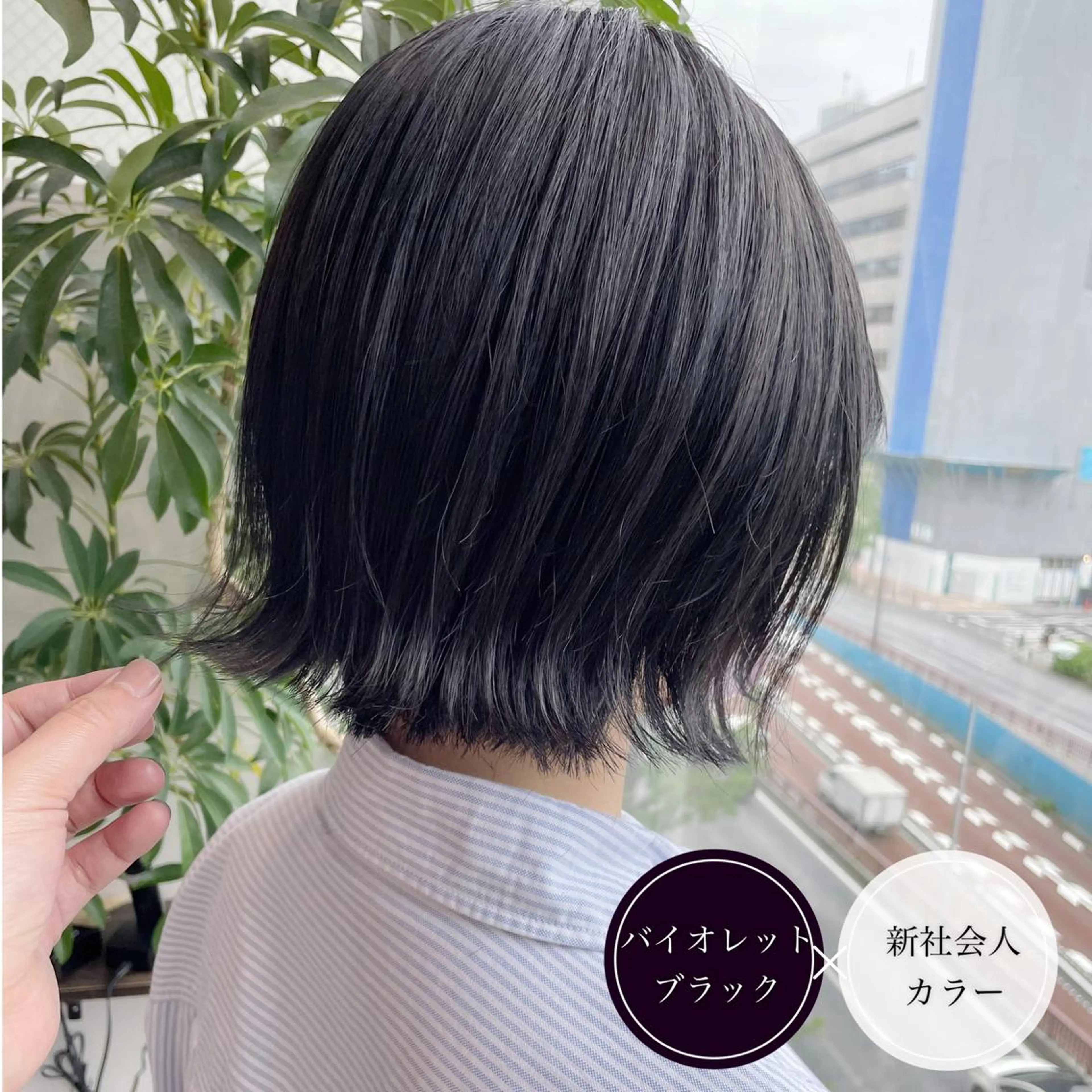 ショート カラー ショートボブ ミストバング 黒髪 デザインカラー ダブルカラー アンブレラカラー💫 フェイスフレーミングのヘアスタイル