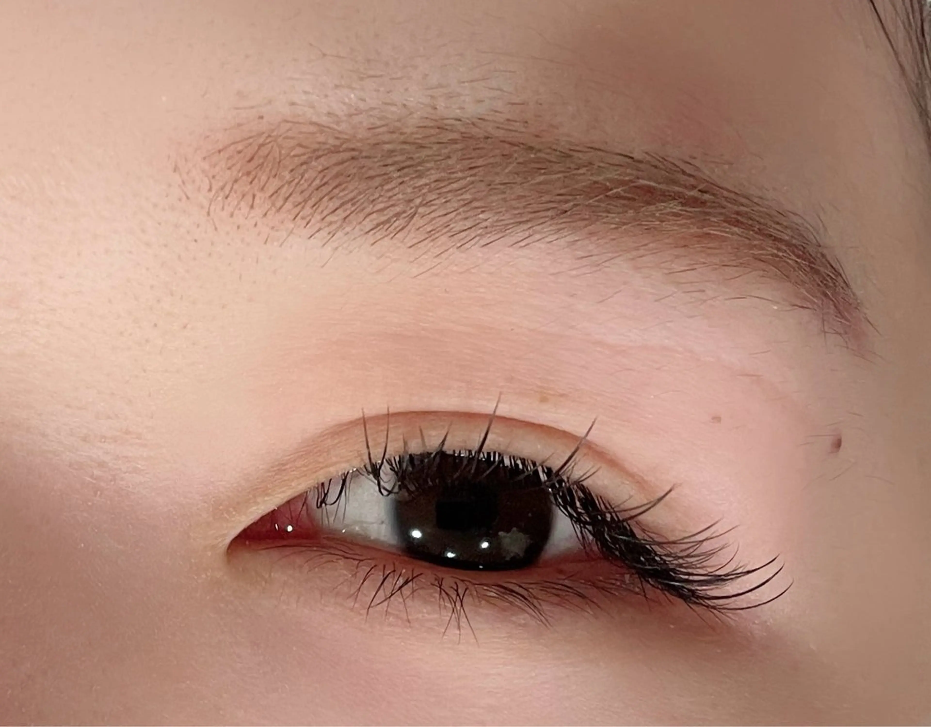 マツエク30分付け放題/シングルラッシュの写真